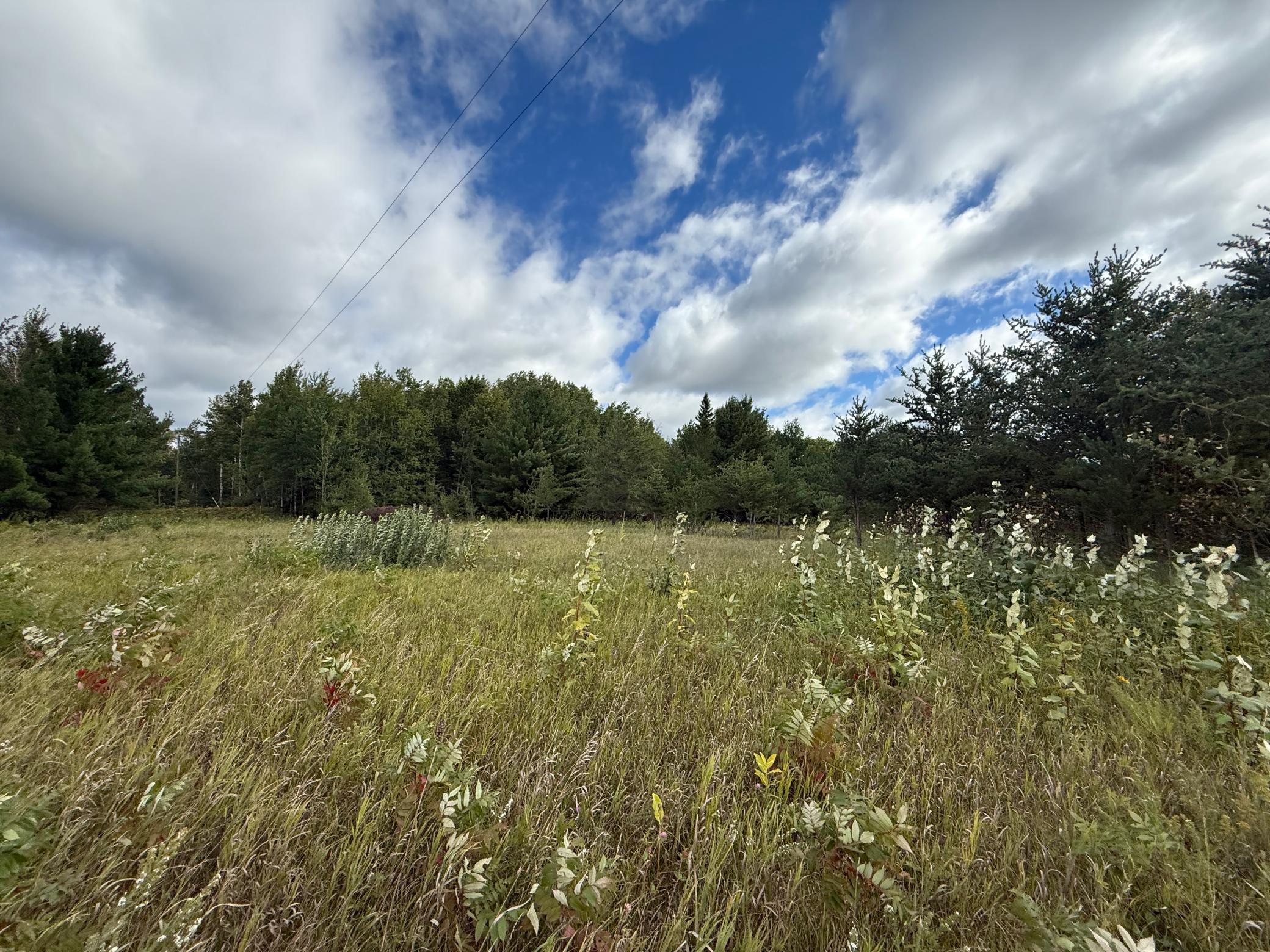 Tbd 159th Ave Property Photo 3