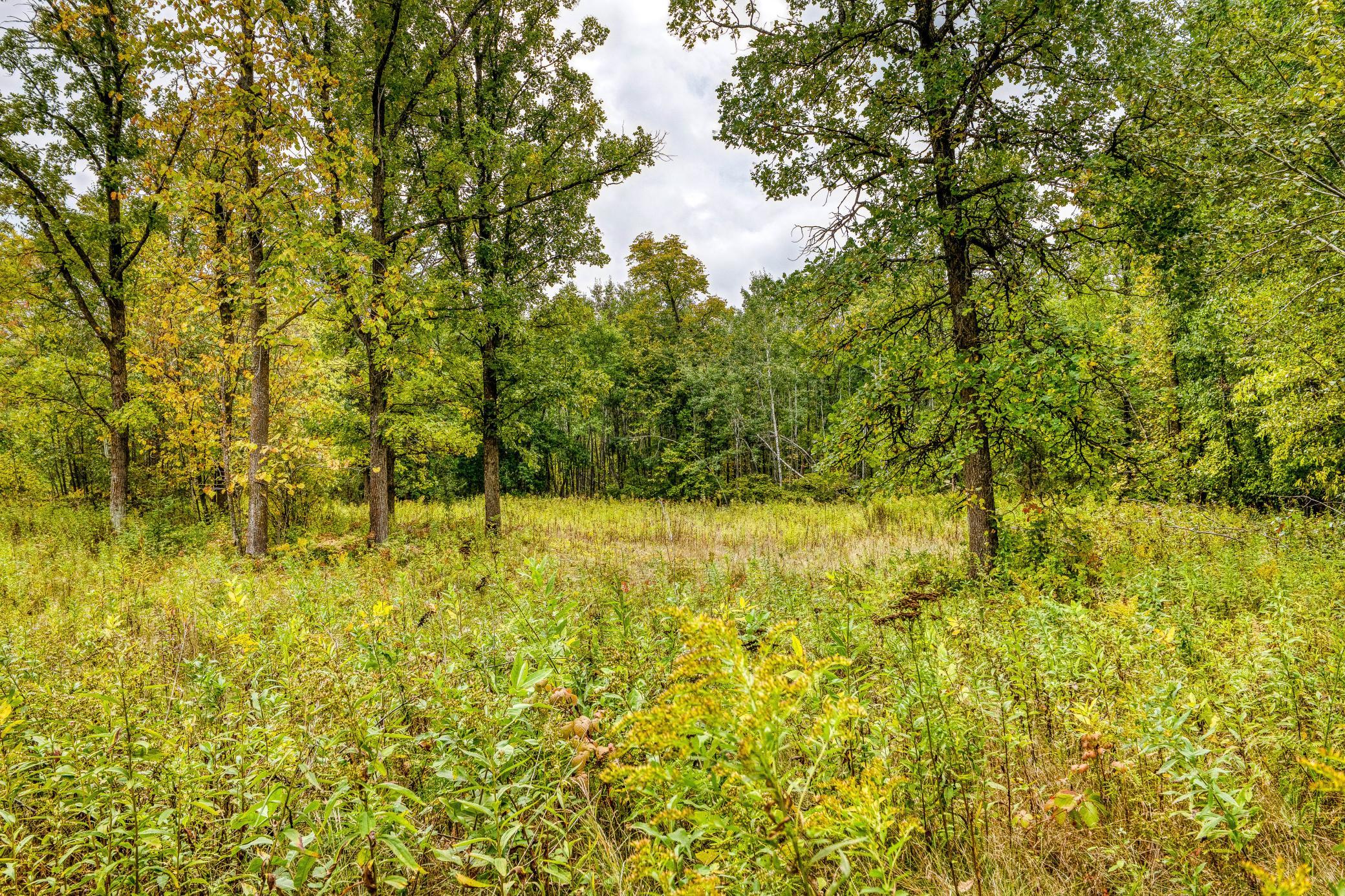 23099 512th Street Property Photo 42