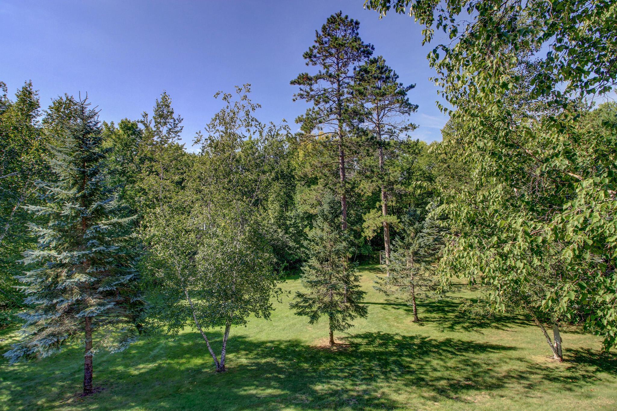 24425 Hickory Trail Property Photo 16