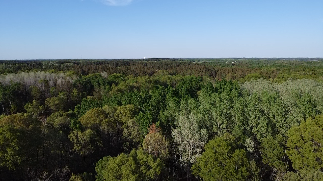 10308 S Oaks Road Property Photo 17
