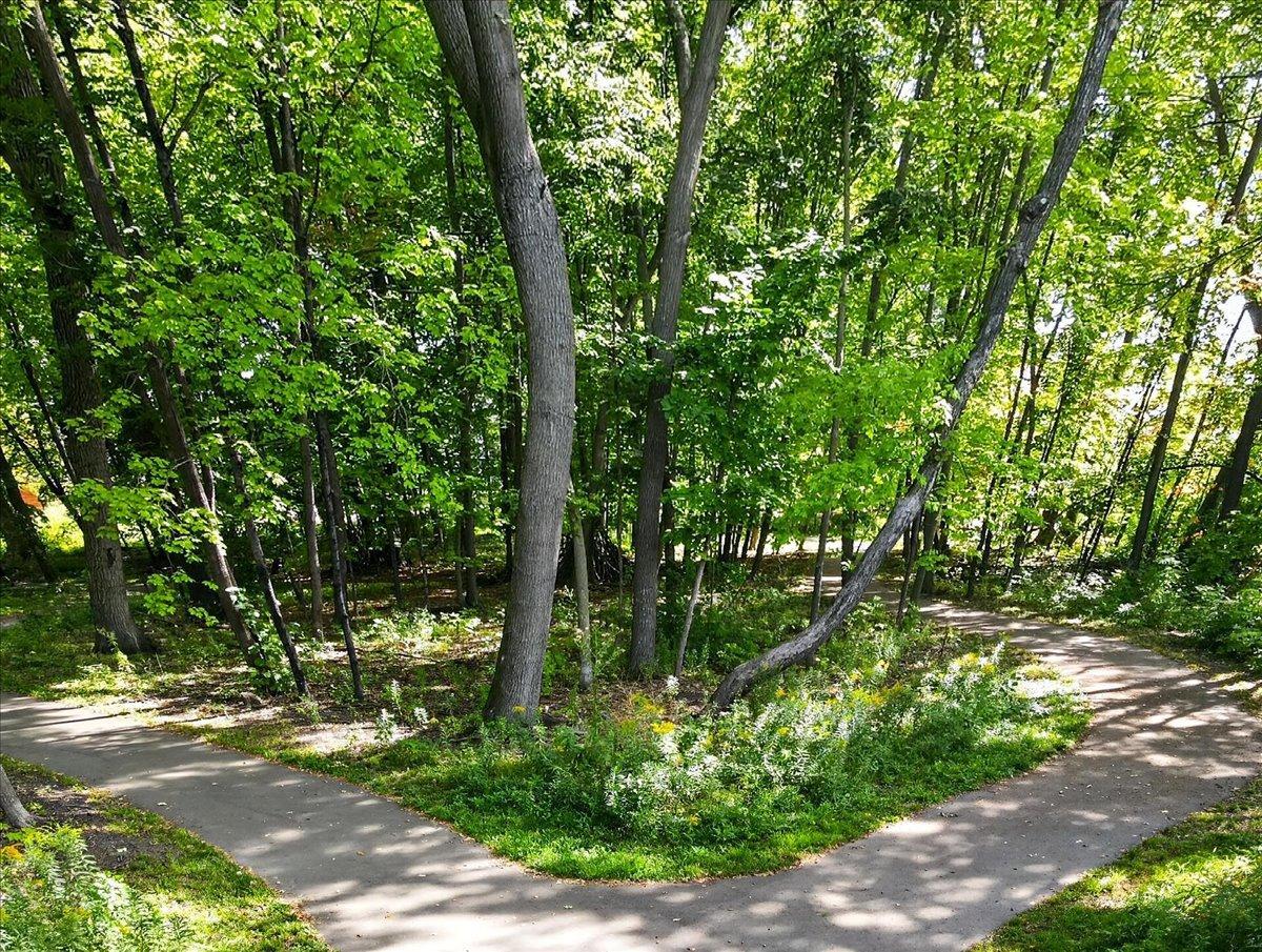 17250 47th Avenue N Property Photo 44