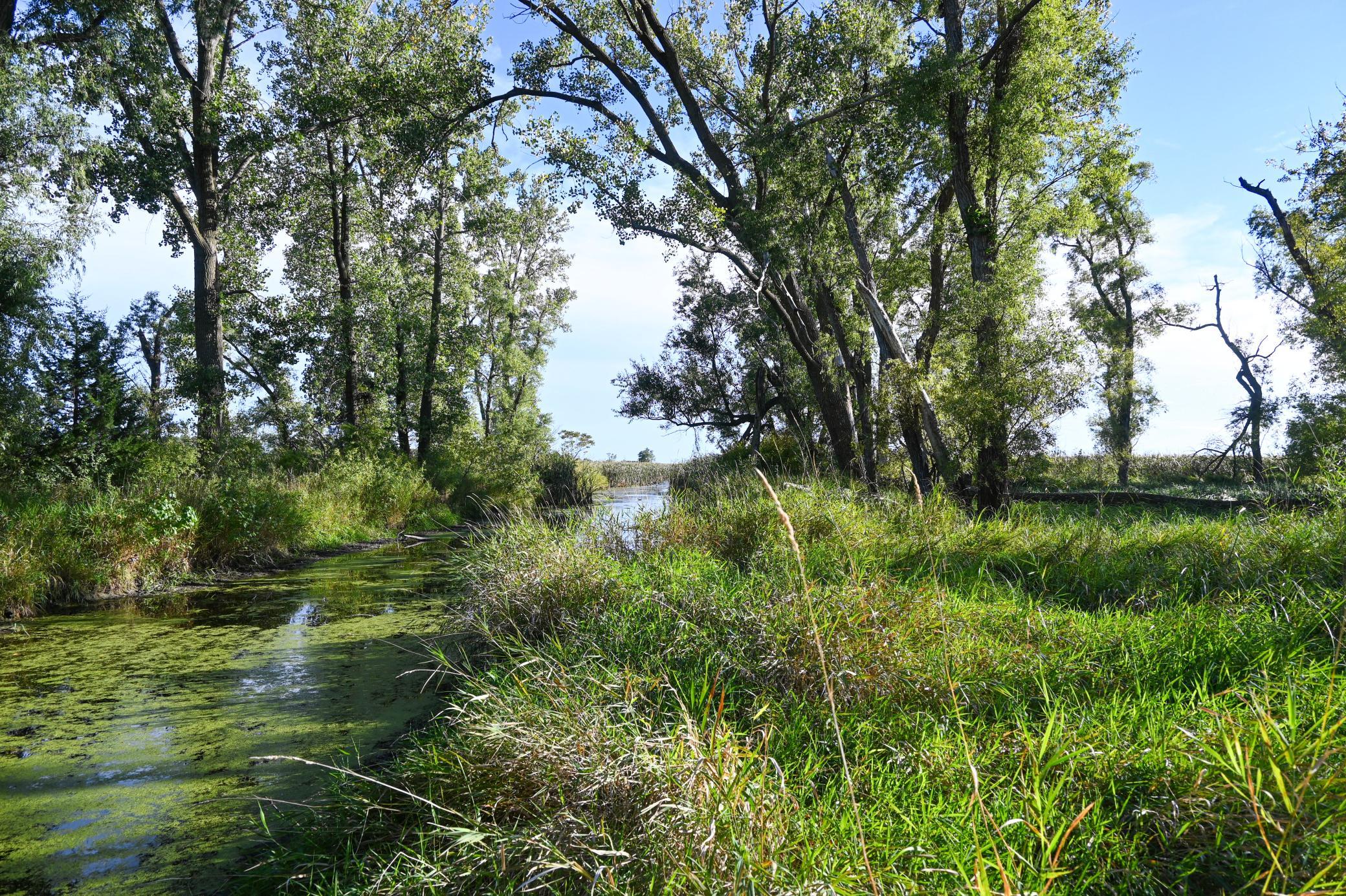 000 State Highway 99 Property Photo 11