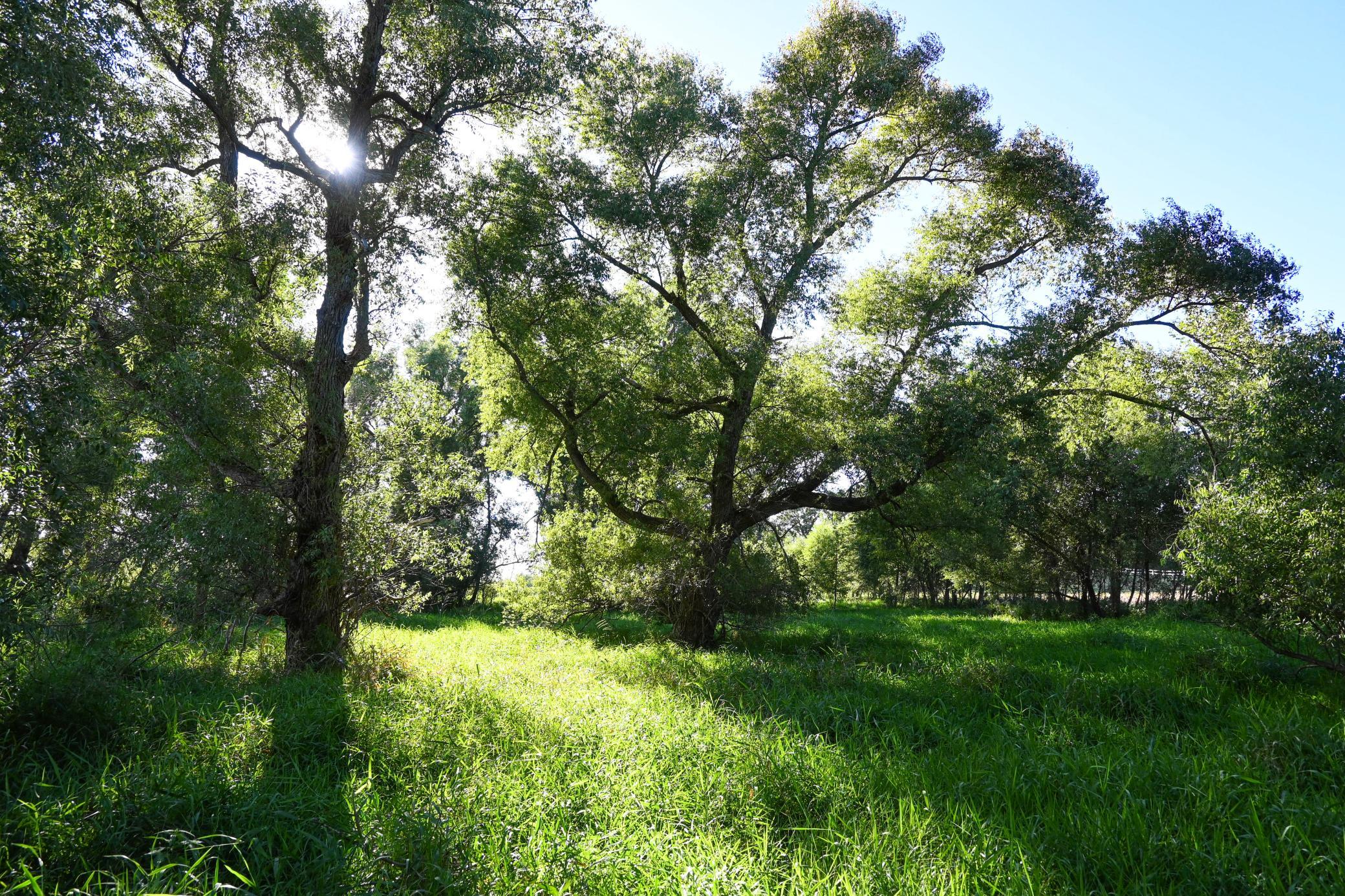000 State Highway 99 Property Photo 24