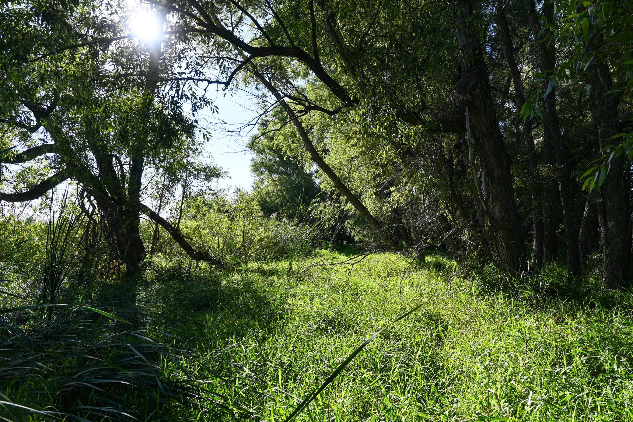 000 State Highway 99 Property Photo 25