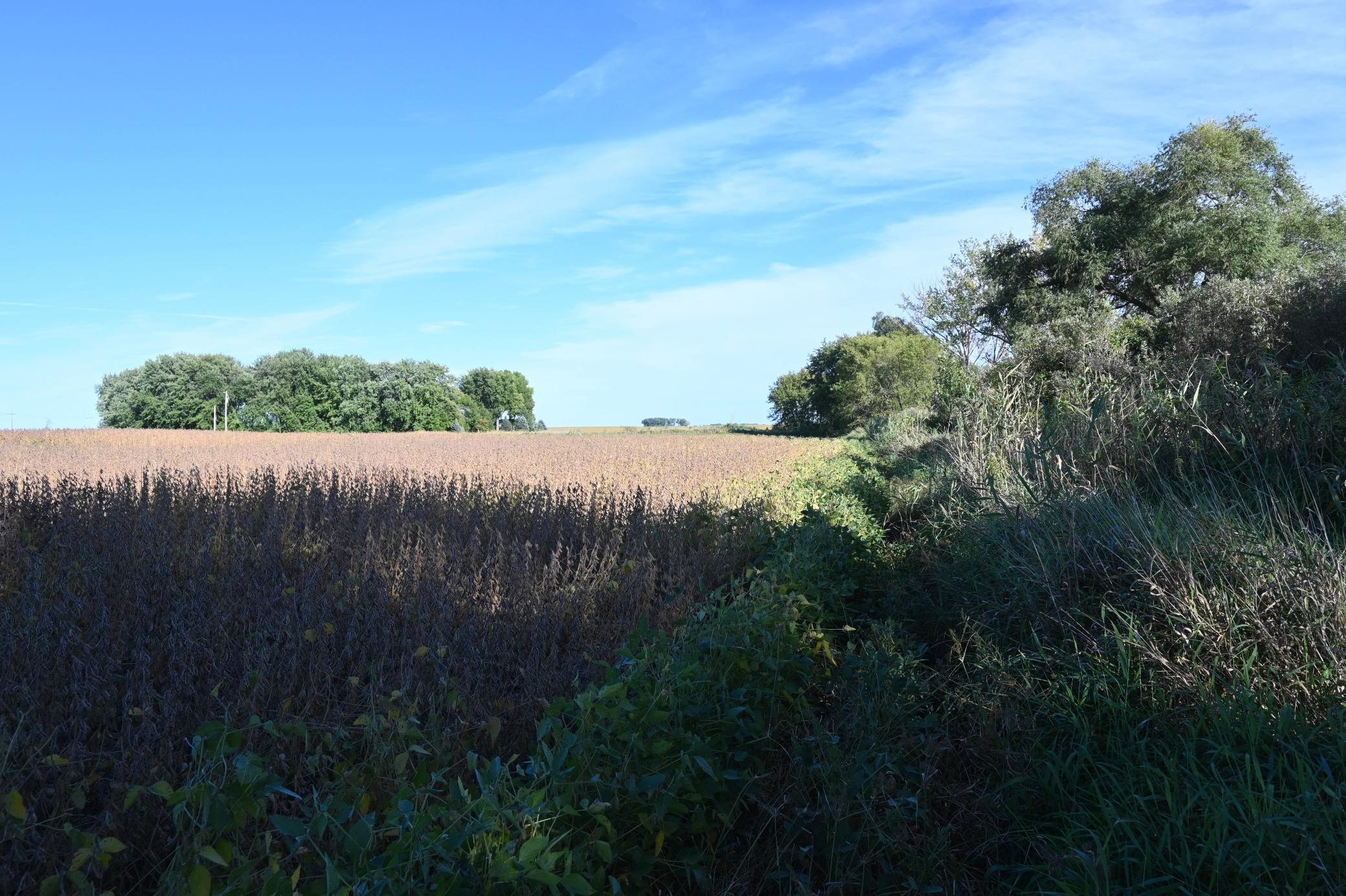 000 State Highway 99 Property Photo 31