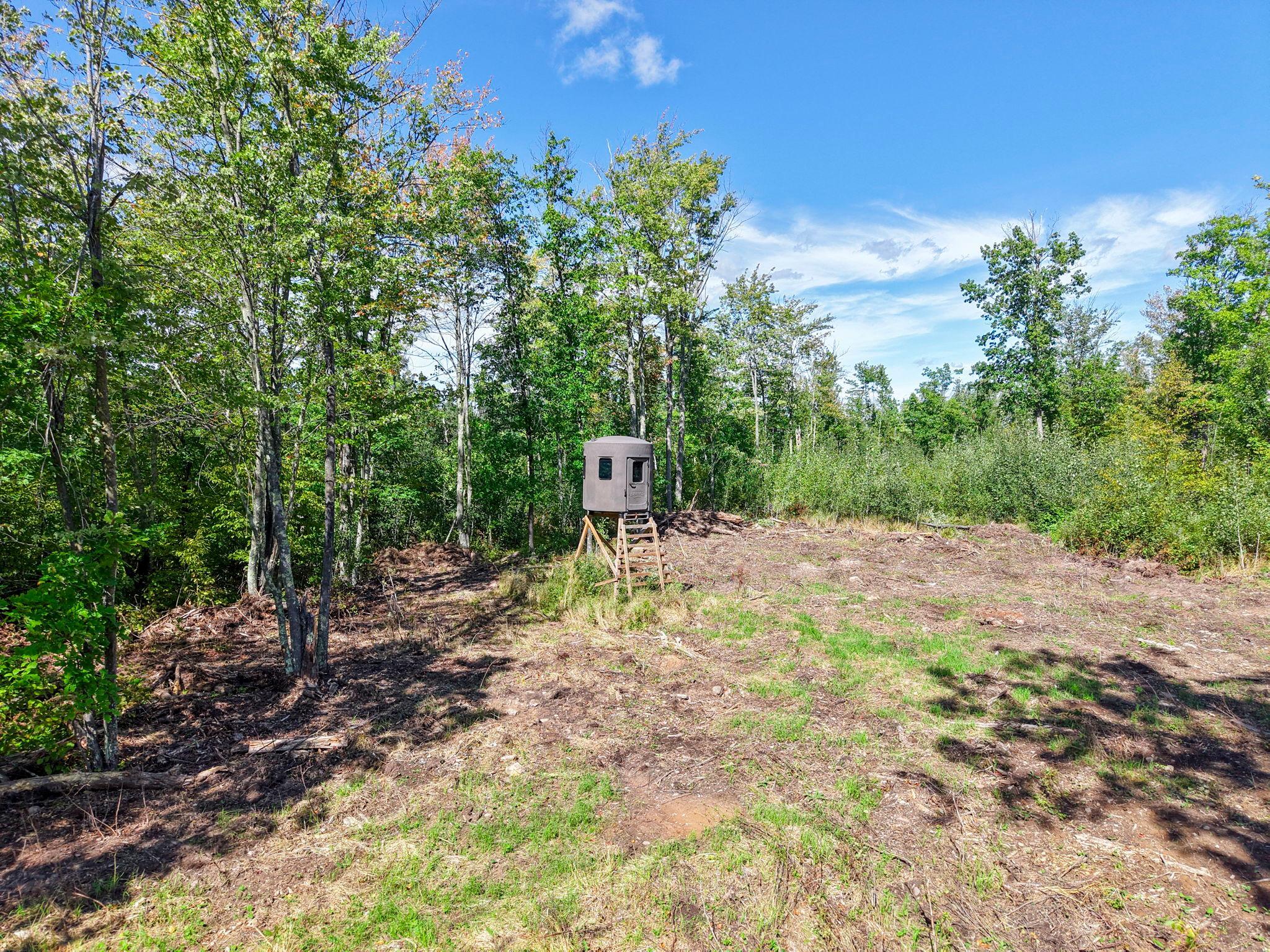 Xxx Fleming Logging Road Property Photo 2