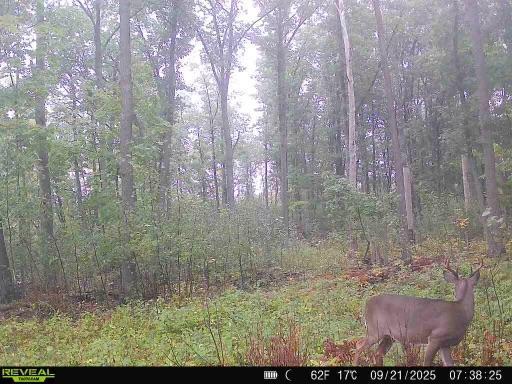 Xxx Fleming Logging Road Property Photo 5