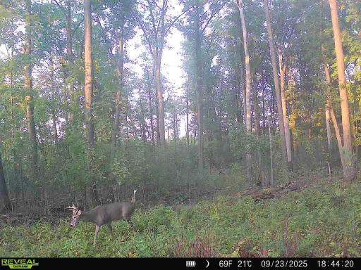 Xxx Fleming Logging Road Property Photo 6