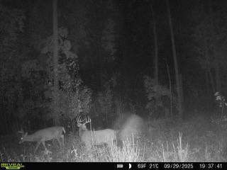Xxx Fleming Logging Road Property Photo 7