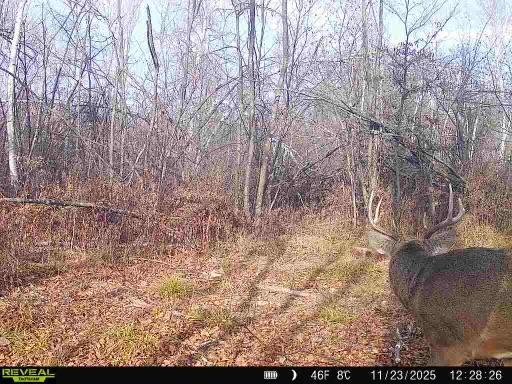 Xxx Fleming Logging Road Property Photo 8