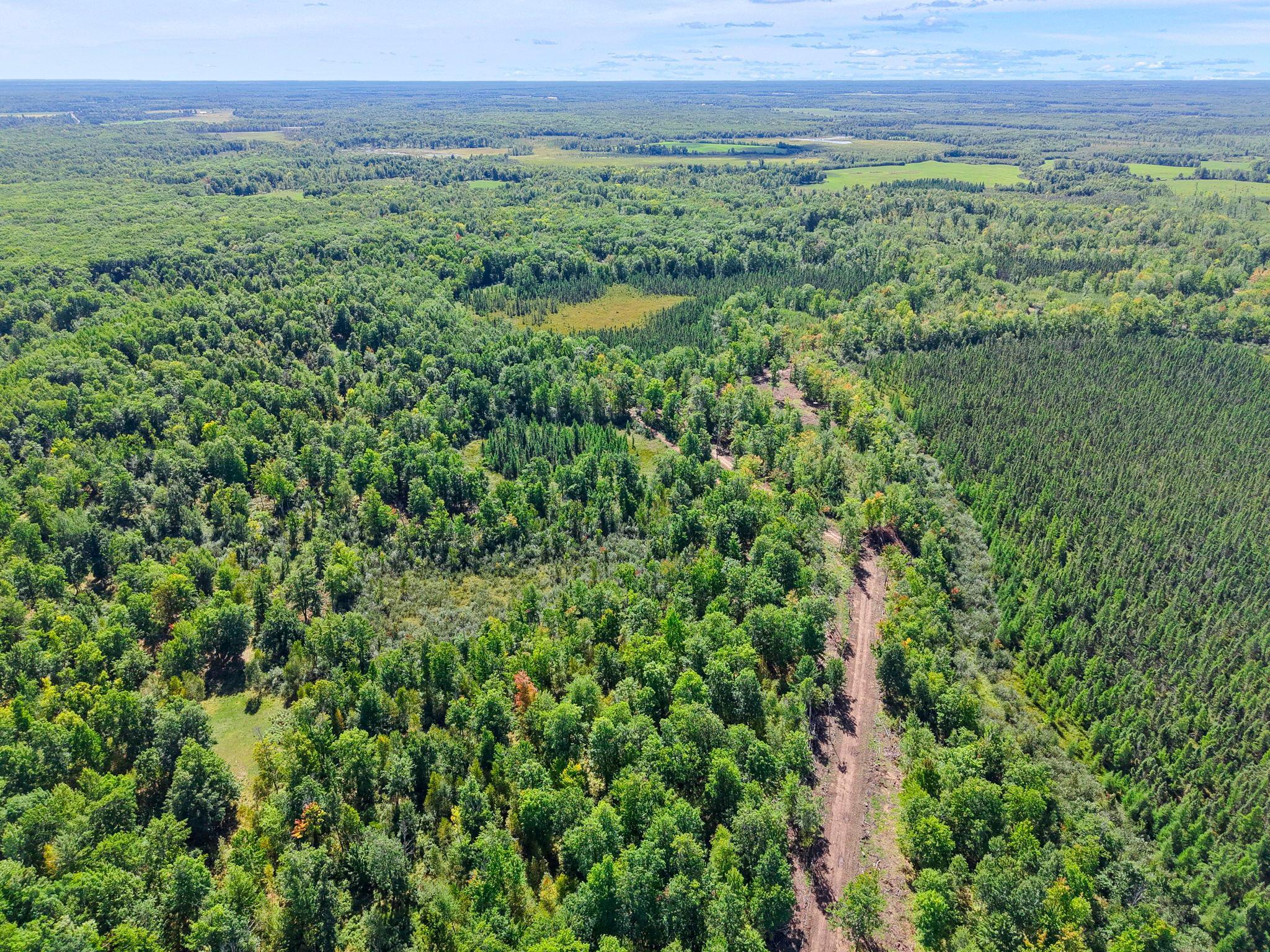 Xxx Fleming Logging Road Property Photo 12