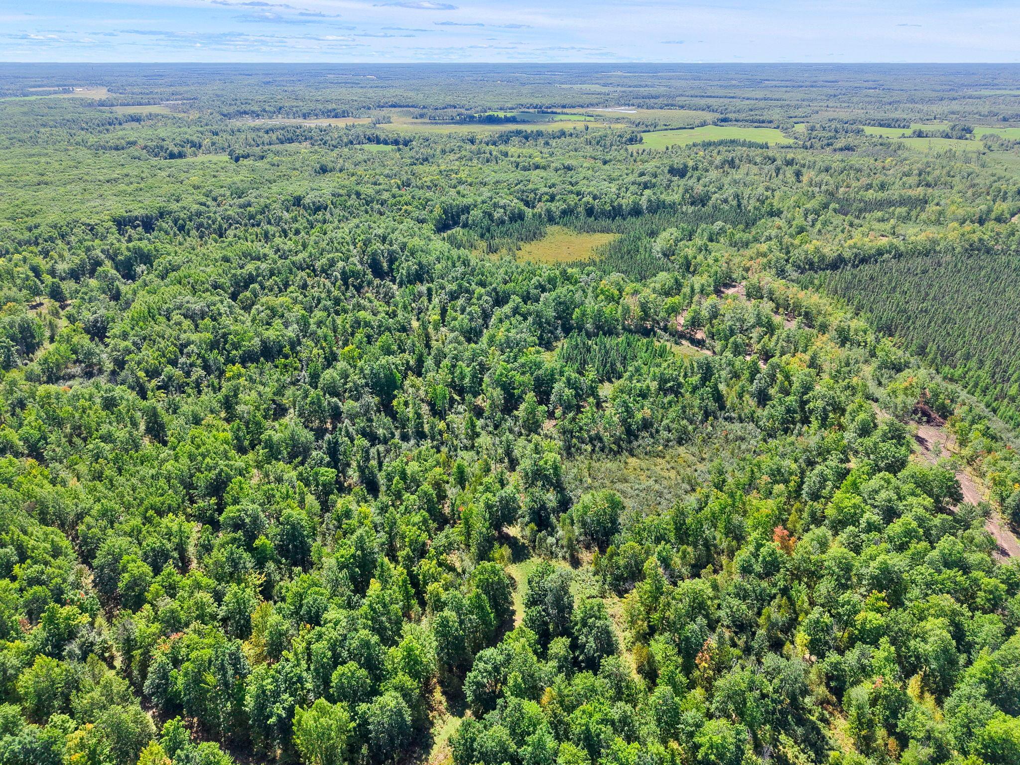 Xxx Fleming Logging Road Property Photo 13
