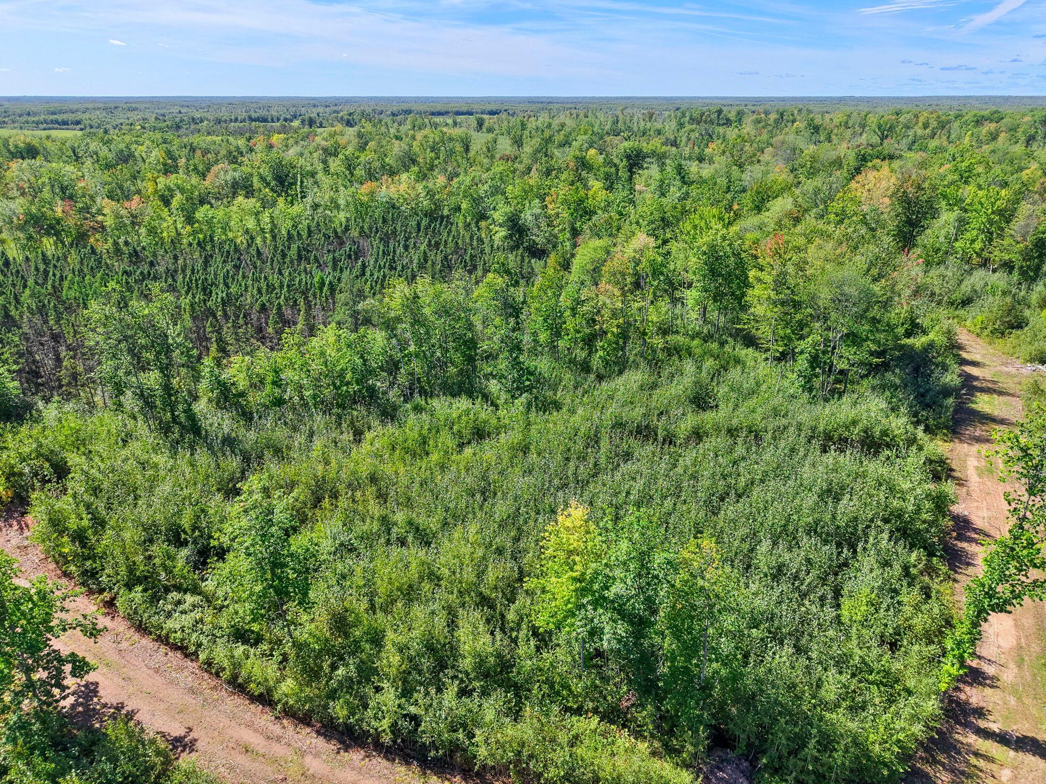Xxx Fleming Logging Road Property Photo 15