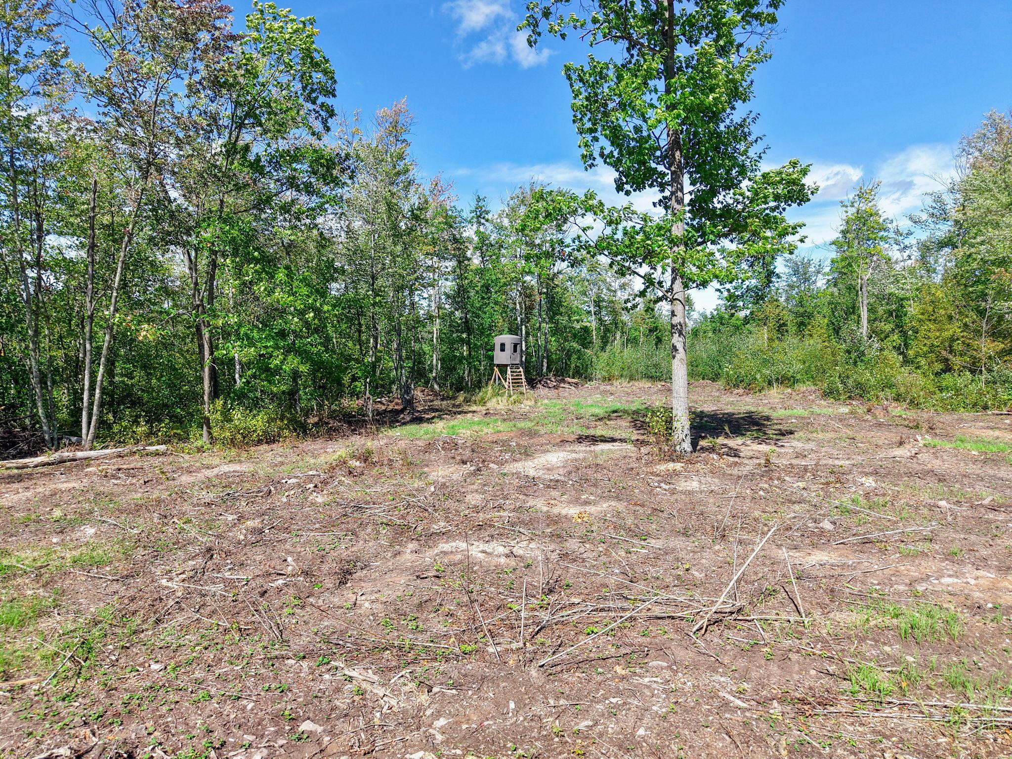 Xxx Fleming Logging Road Property Photo 16