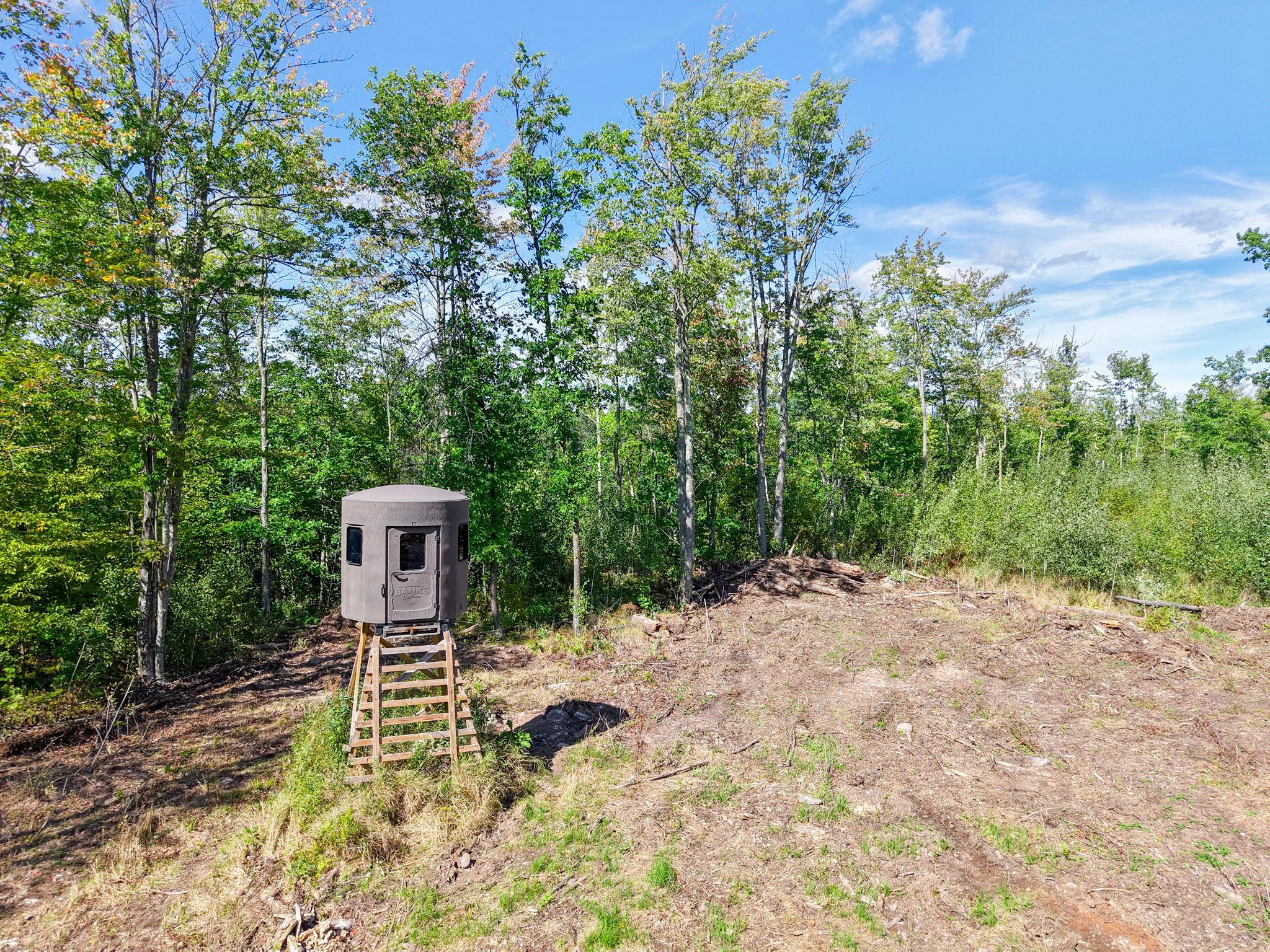 Xxx Fleming Logging Road Property Photo 17