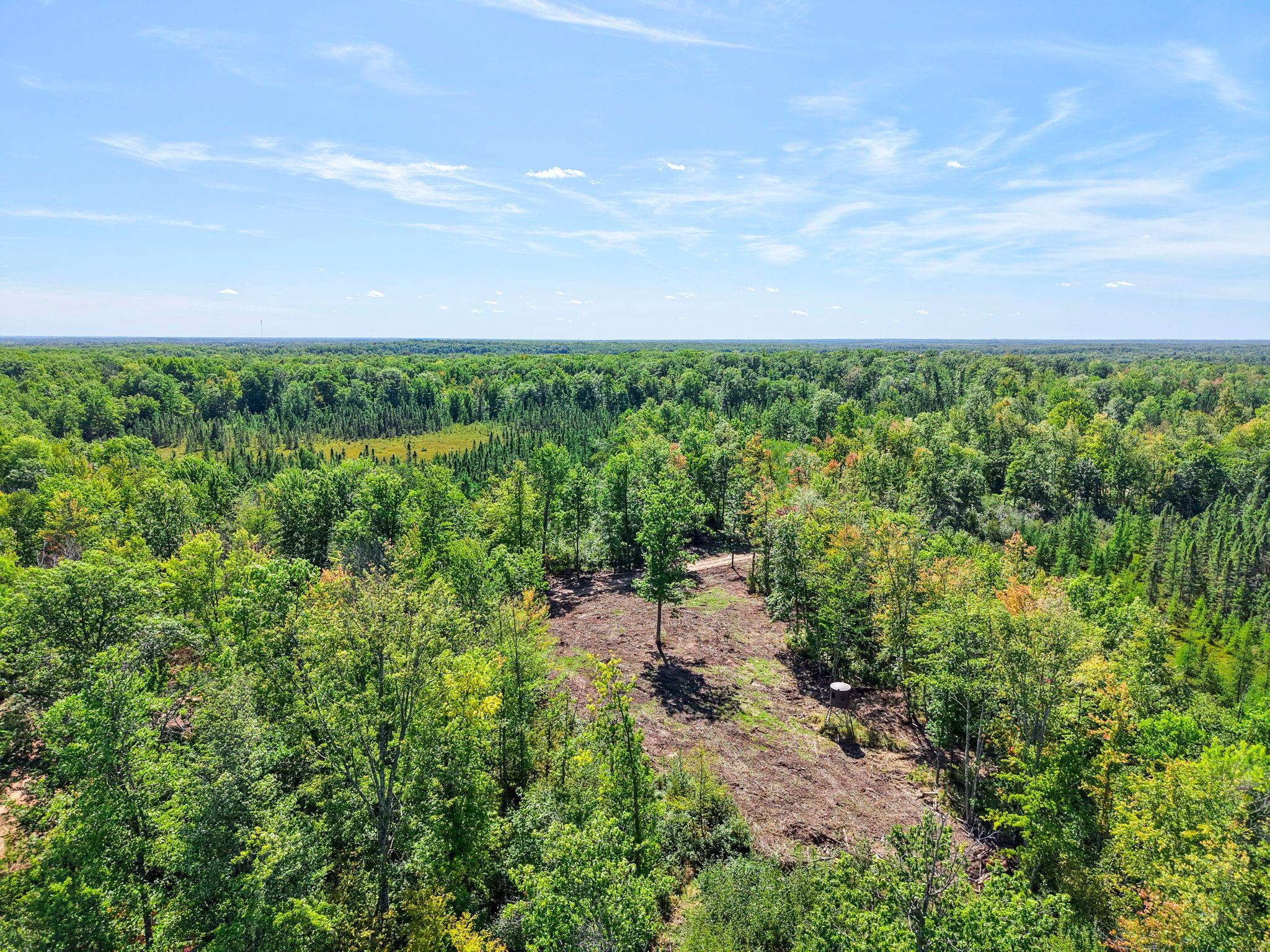 Xxx Fleming Logging Road Property Photo 18