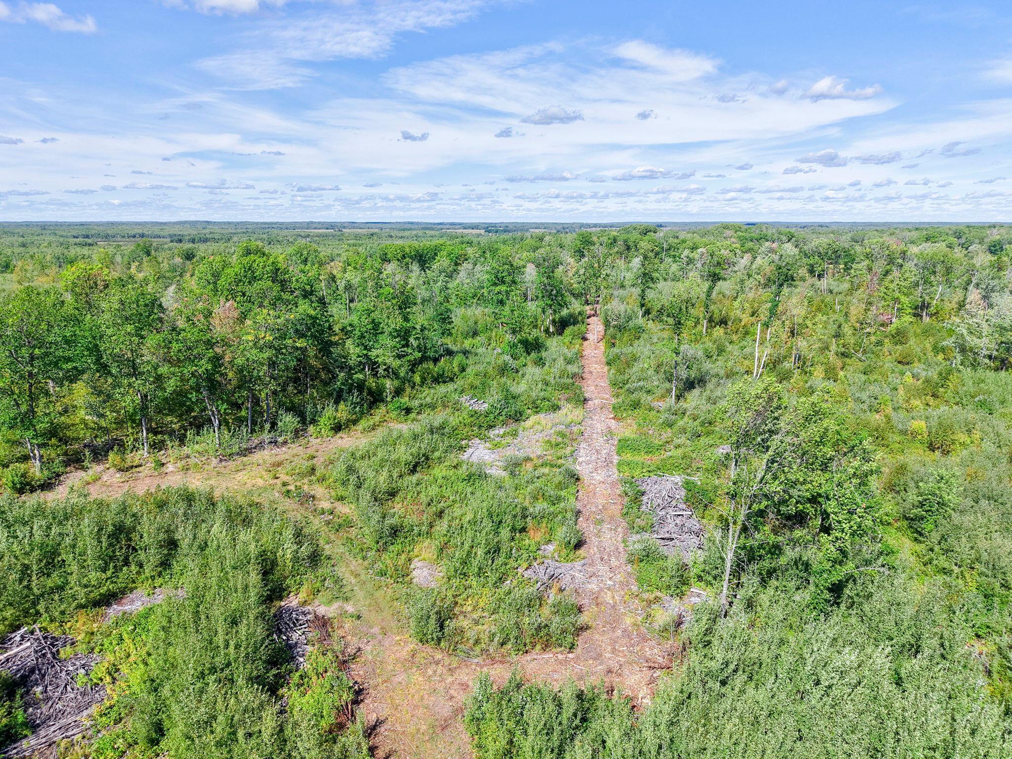 Xxx Fleming Logging Road Property Photo 29