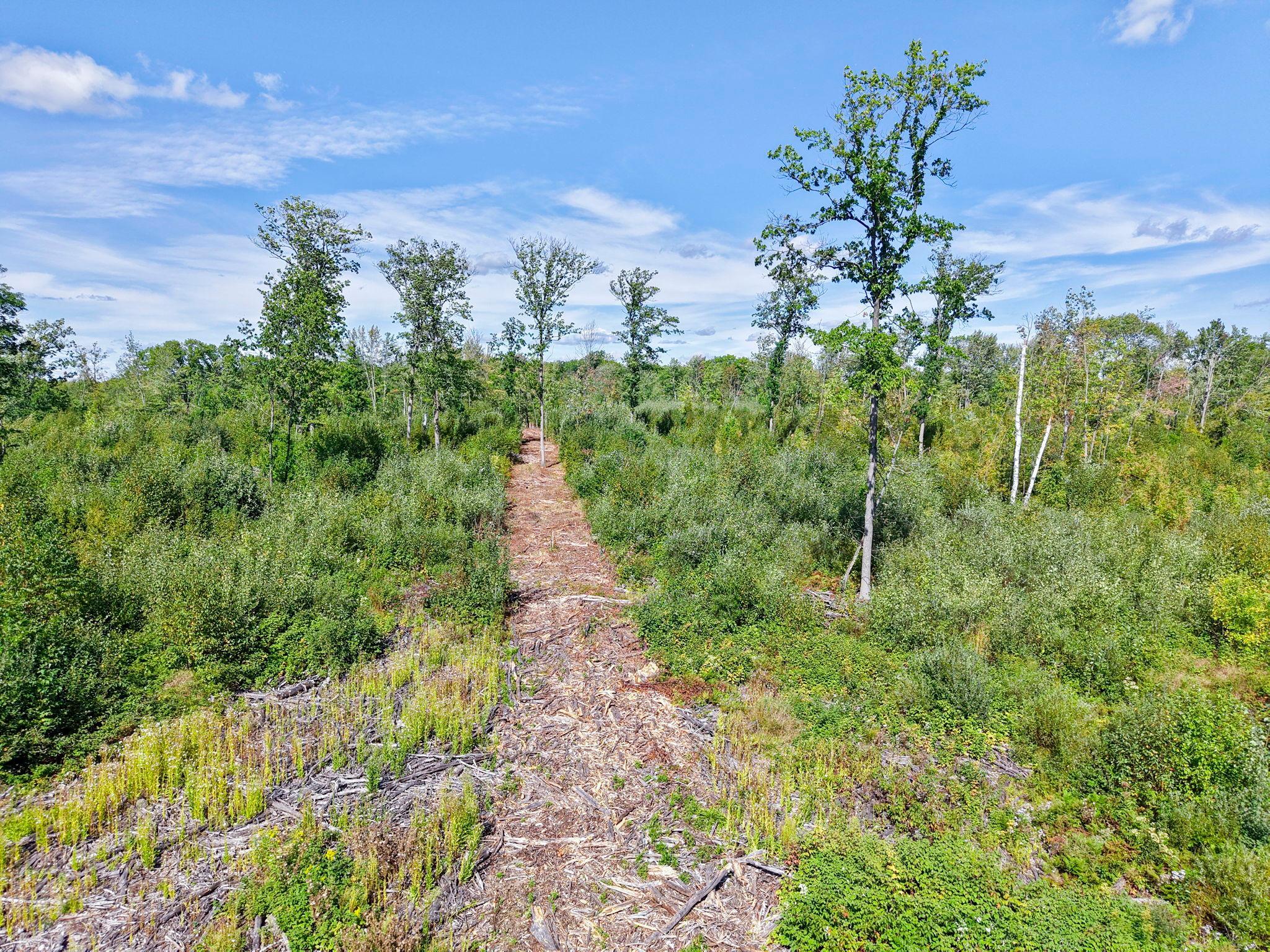 Xxx Fleming Logging Road Property Photo 30