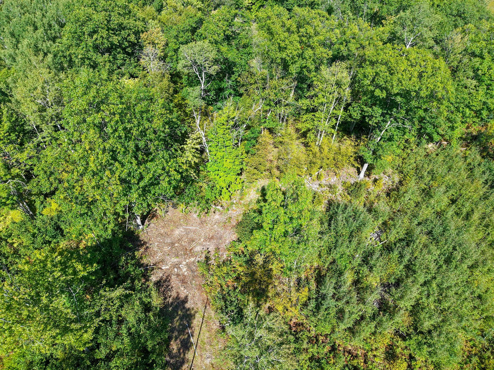 Xxx Fleming Logging Road Property Photo 31