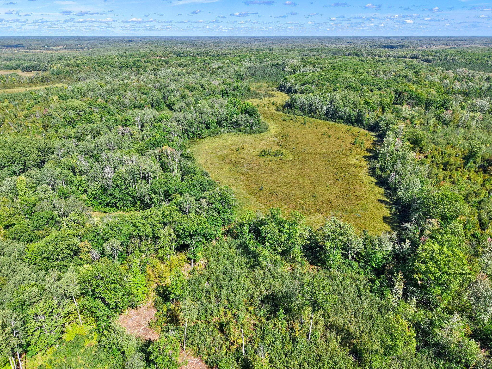 Xxx Fleming Logging Road Property Photo 32