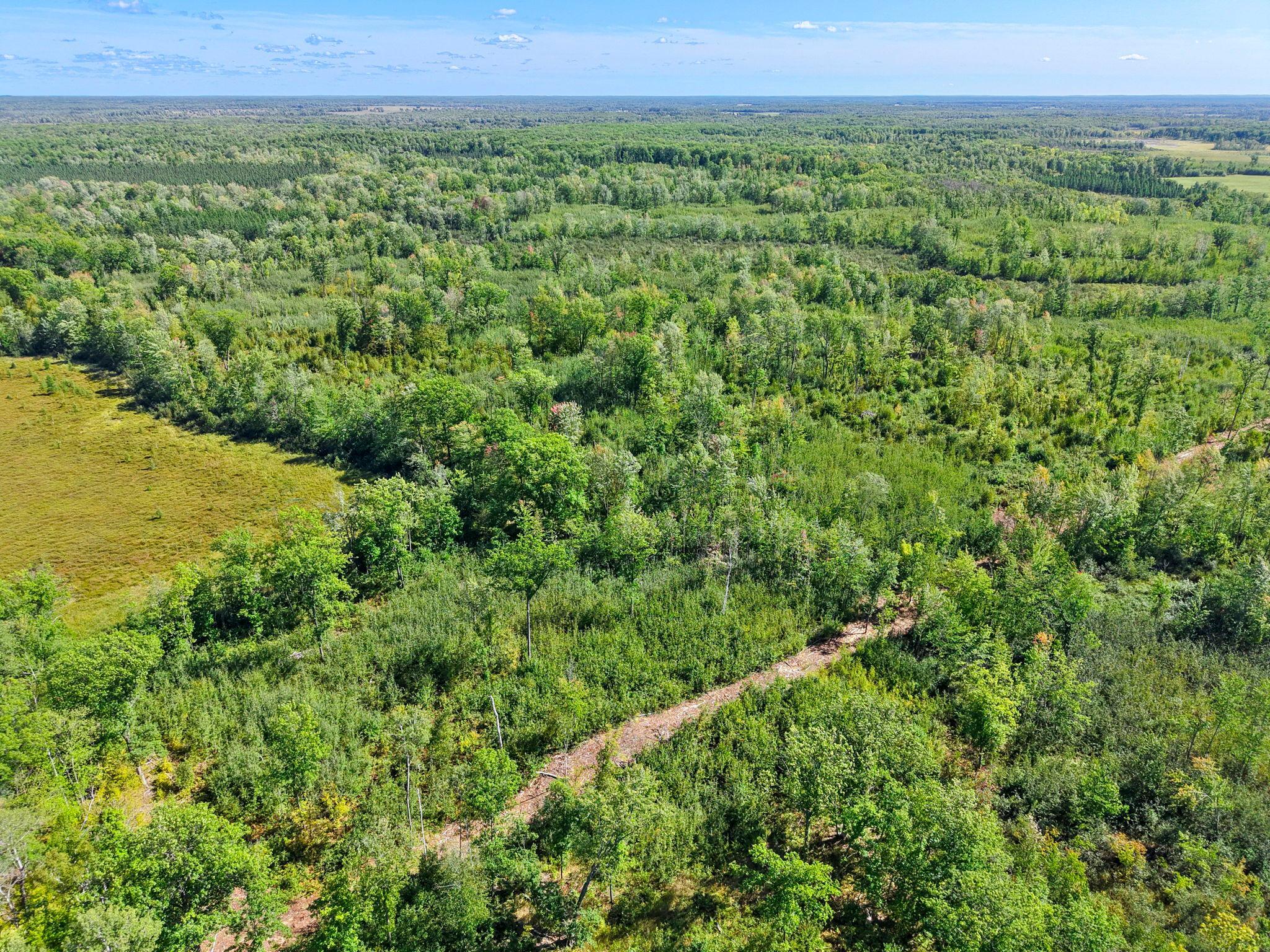 Xxx Fleming Logging Road Property Photo 33
