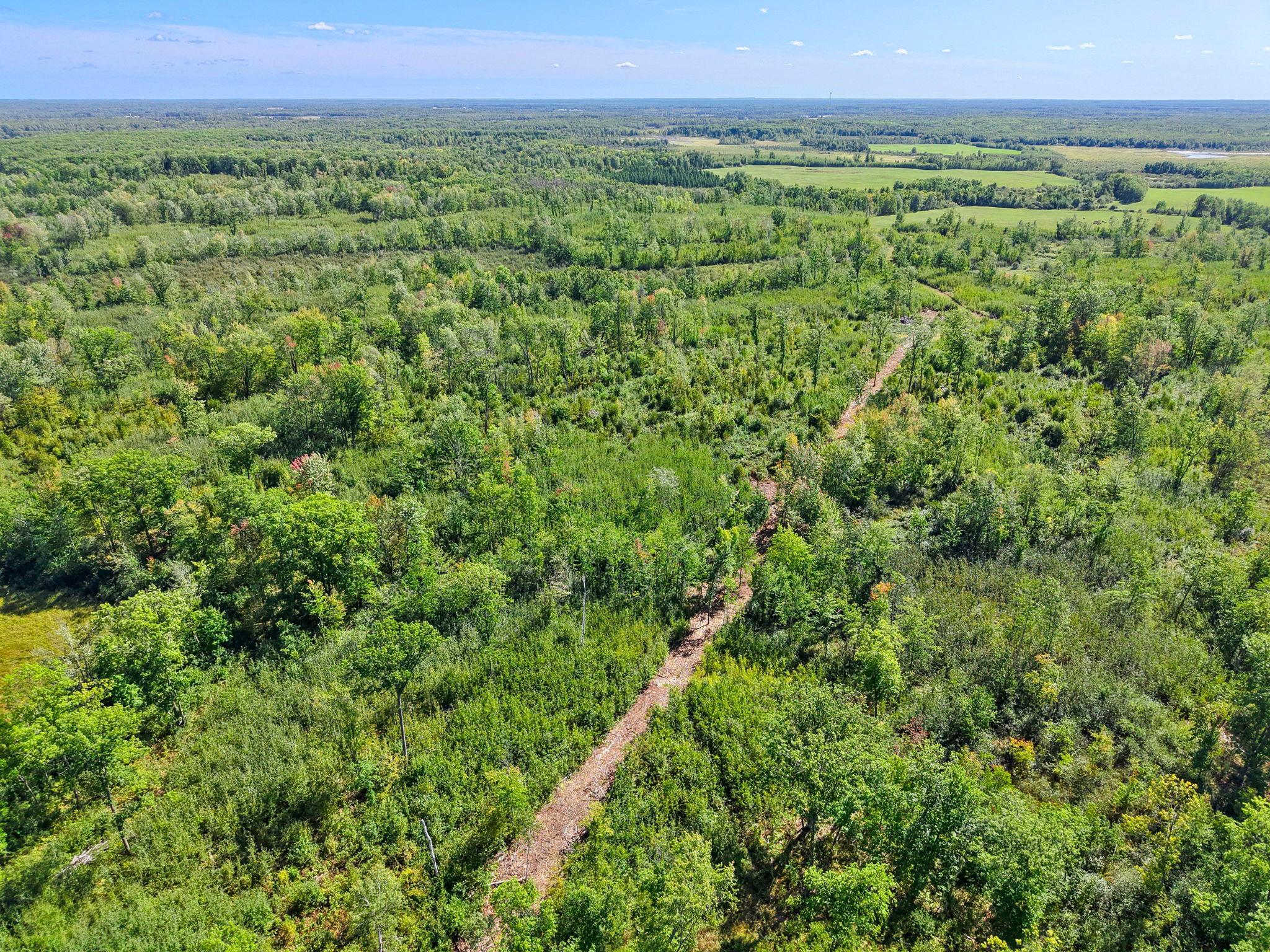 Xxx Fleming Logging Road Property Photo 34