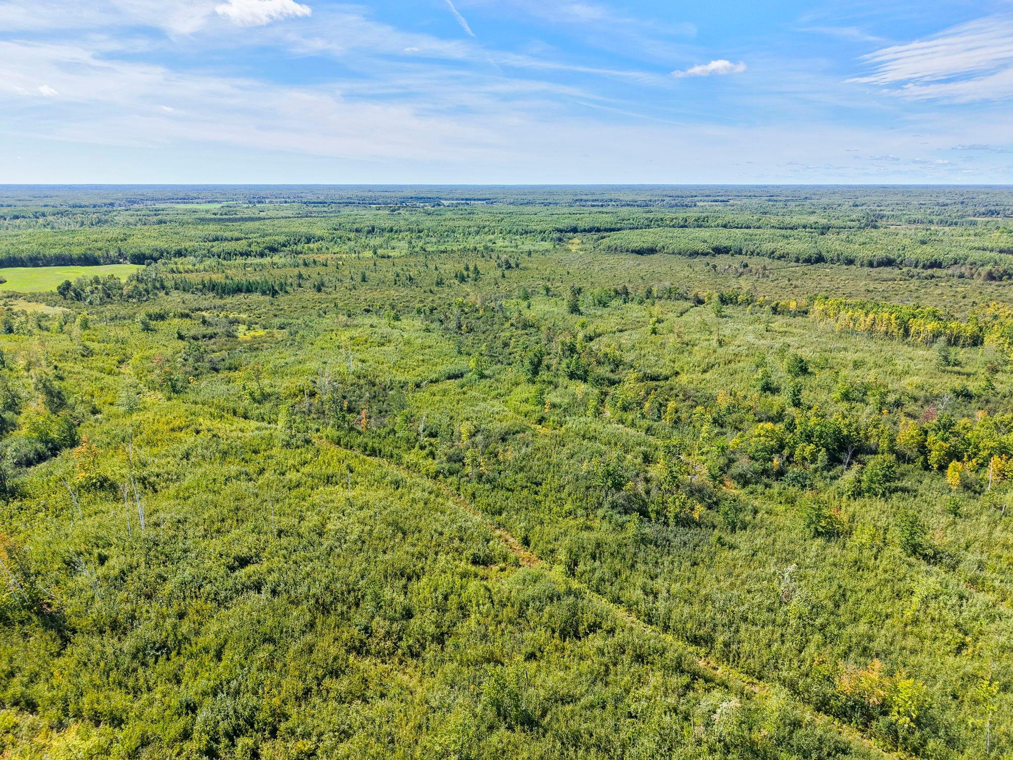 Xxx Fleming Logging Road Property Photo 38
