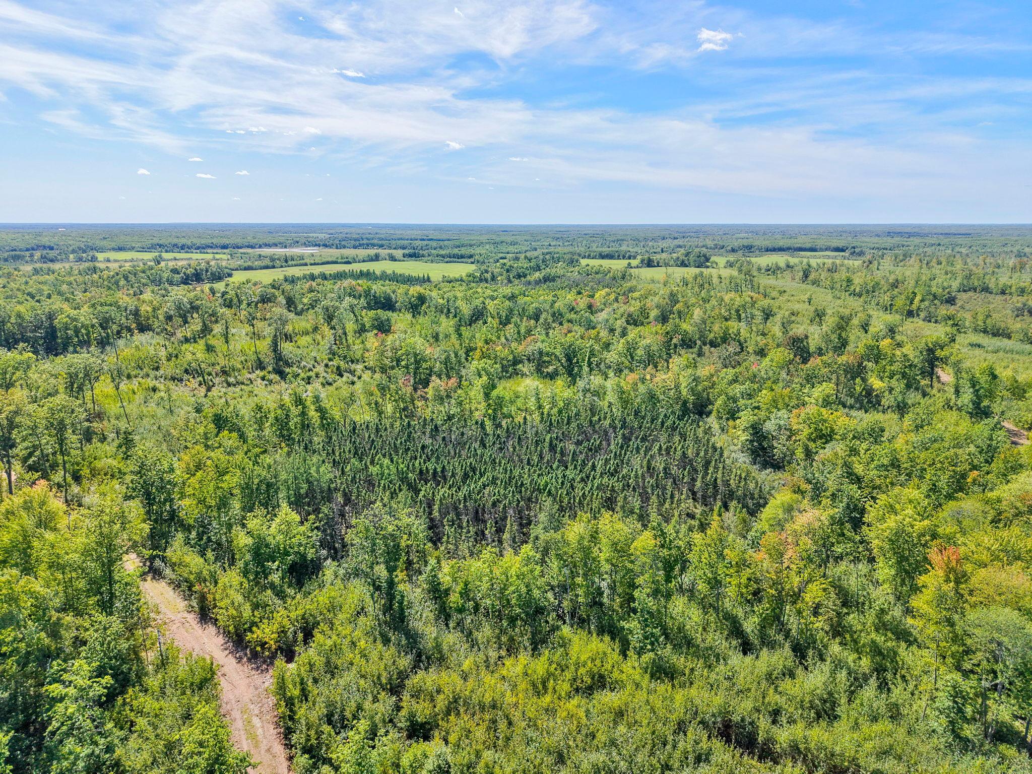 Xxx Fleming Logging Road Property Photo 43