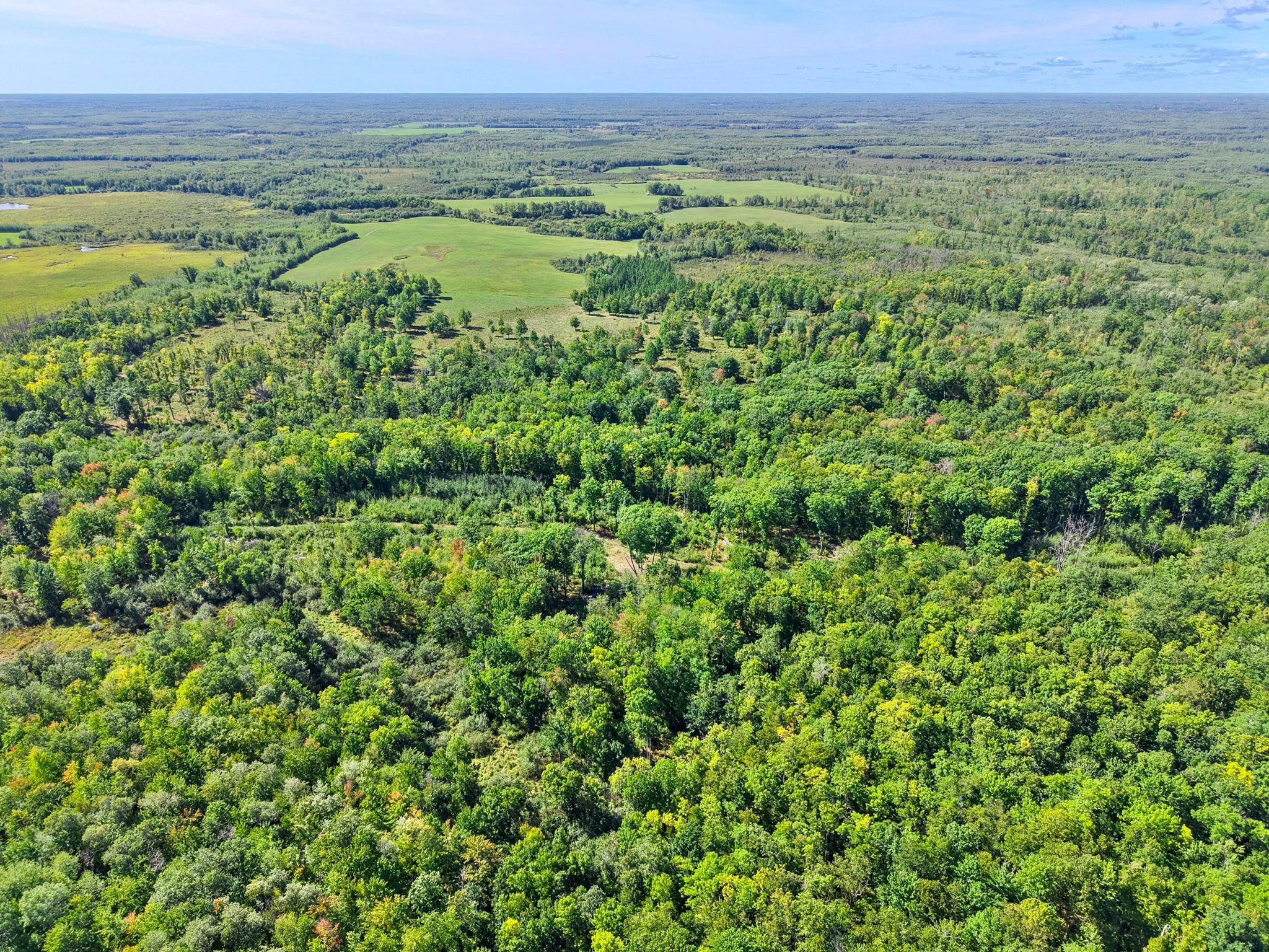 Xxx Fleming Logging Road Property Photo 49