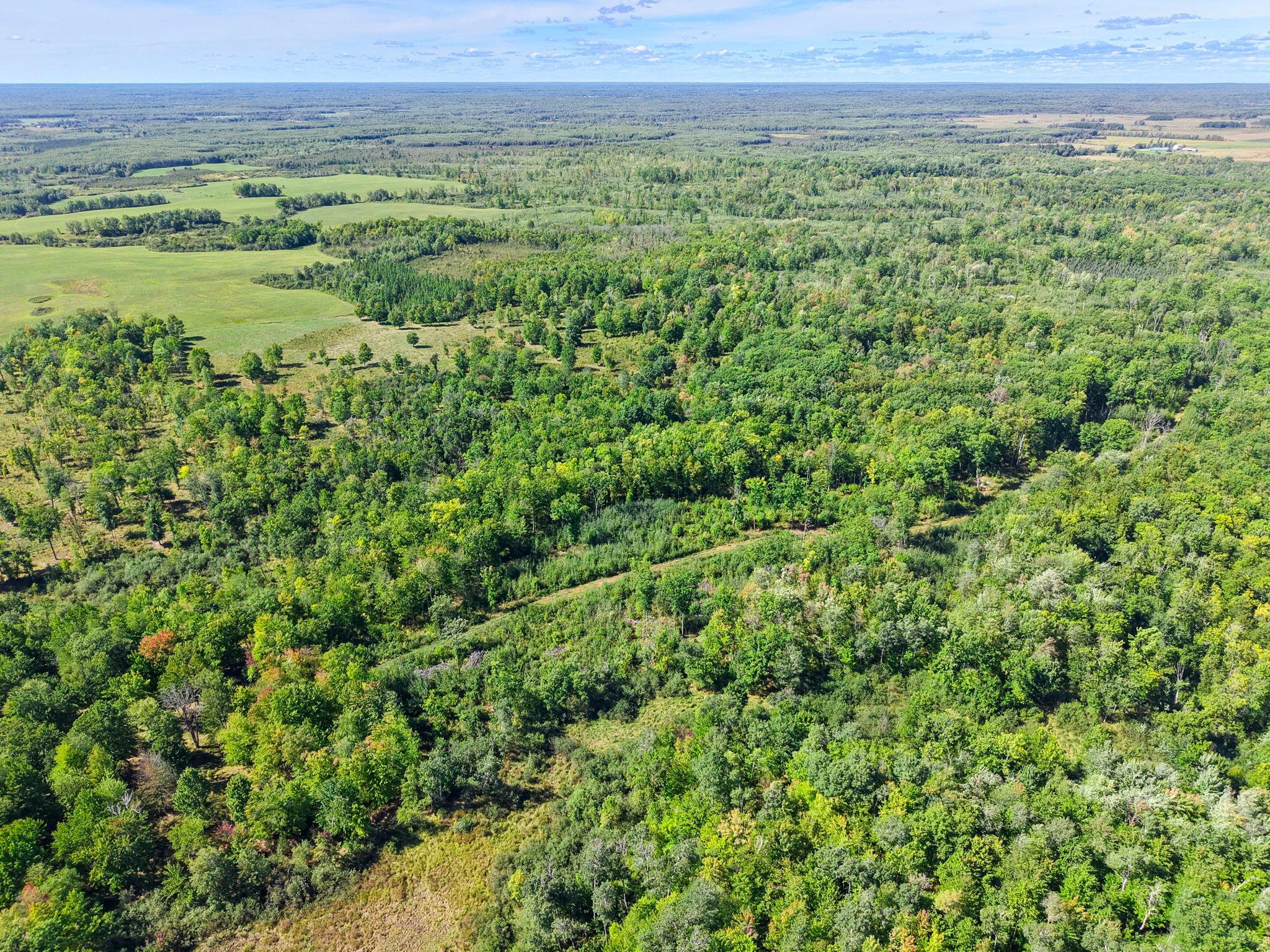 Xxx Fleming Logging Road Property Photo 50