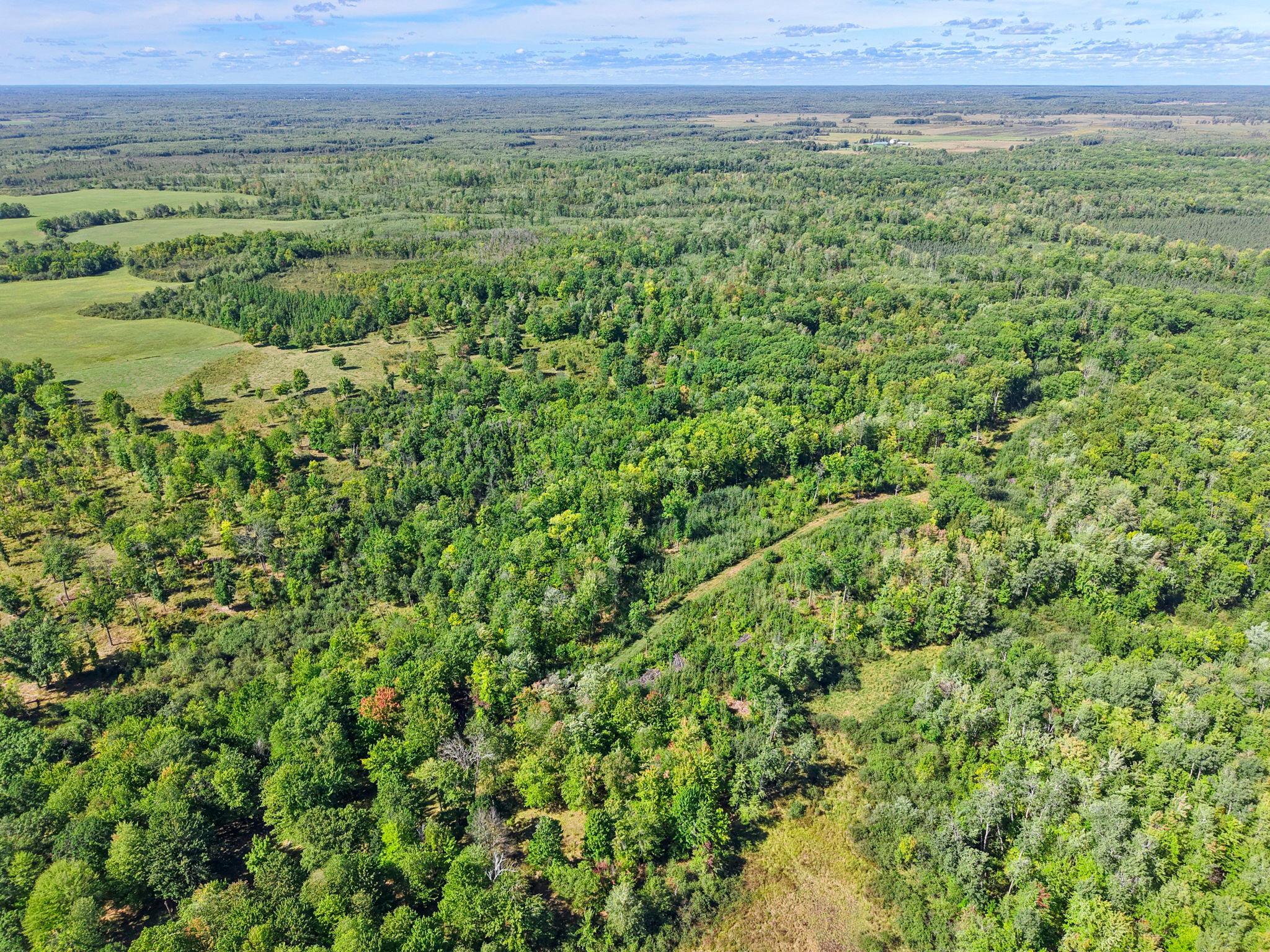 Xxx Fleming Logging Road Property Photo 51