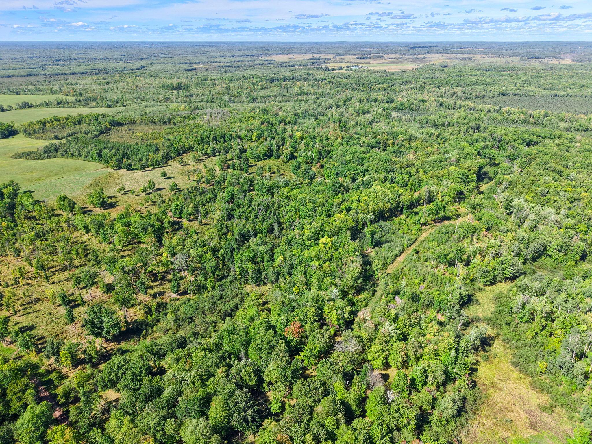 Xxx Fleming Logging Road Property Photo 52