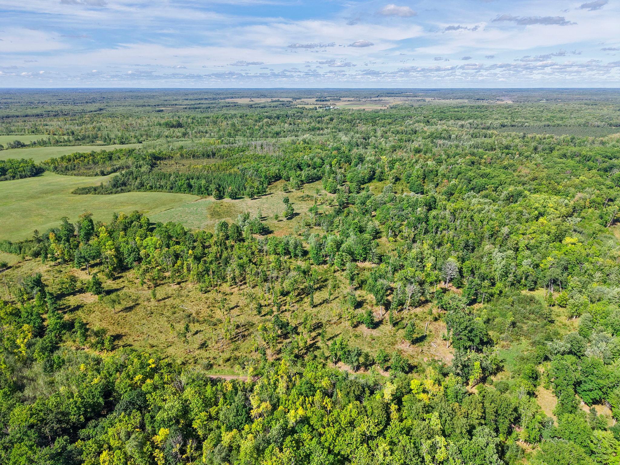 Xxx Fleming Logging Road Property Photo 54