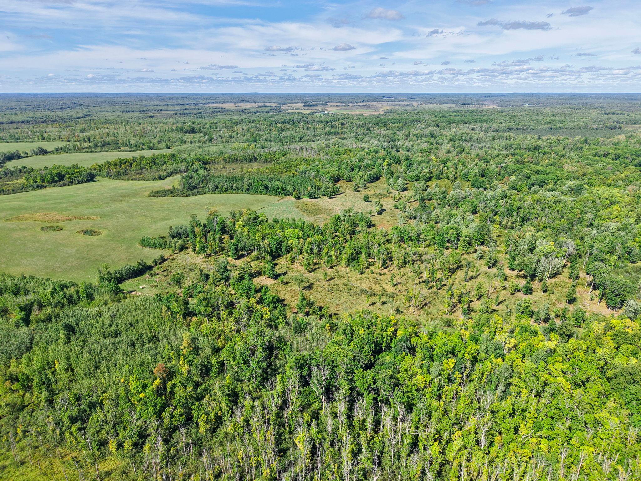 Xxx Fleming Logging Road Property Photo 55