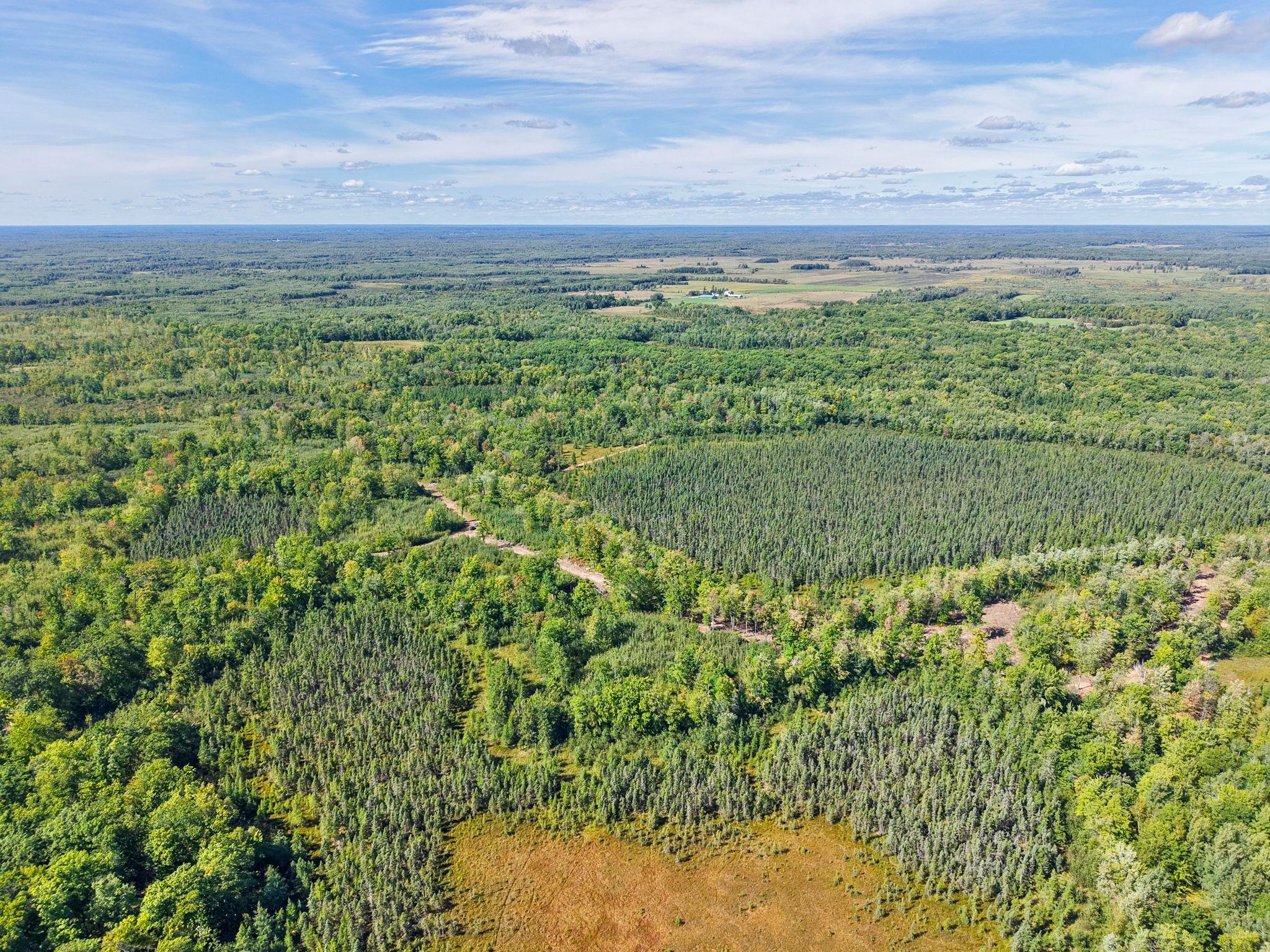 Xxx Fleming Logging Road Property Photo 59
