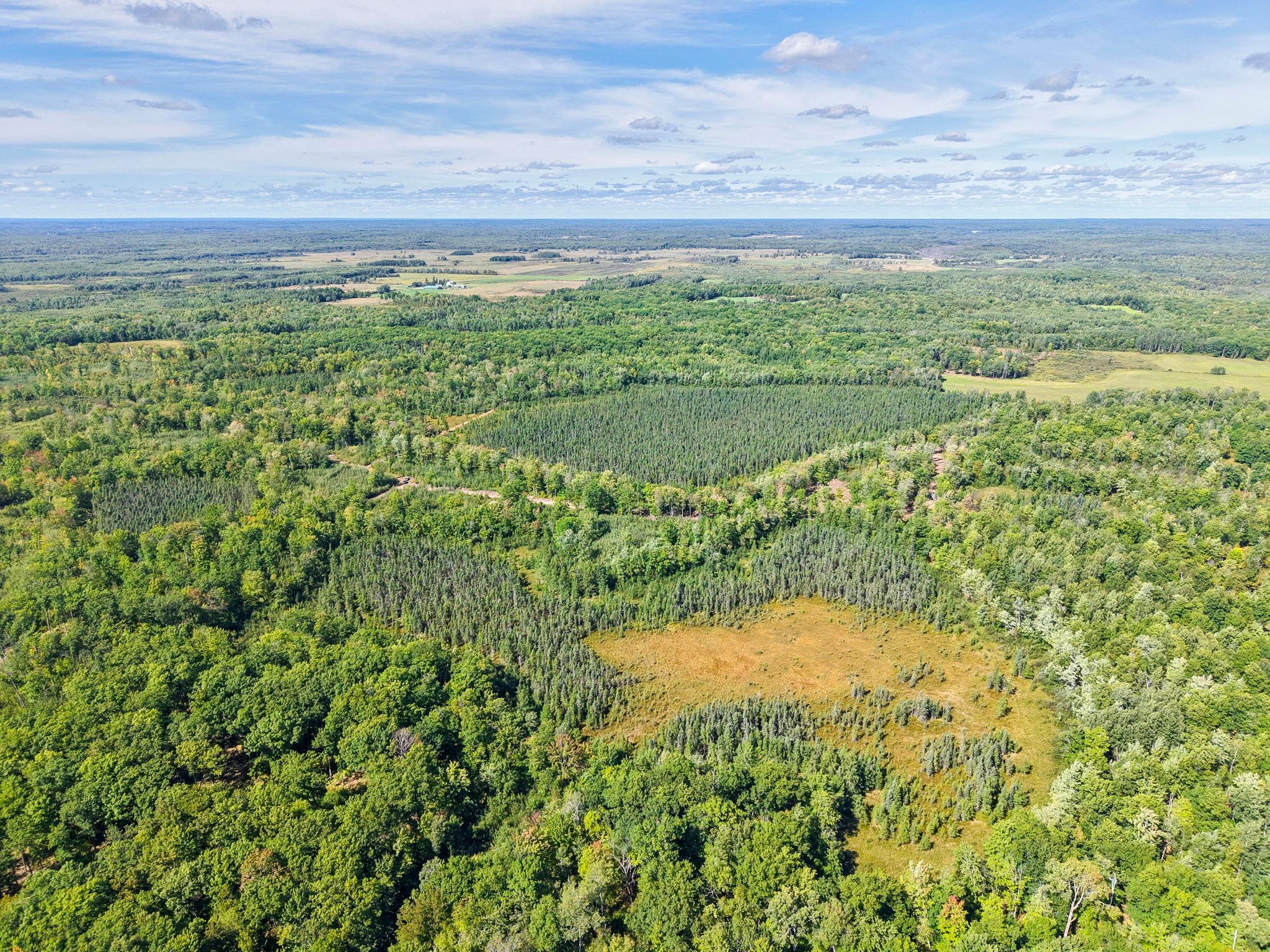 Xxx Fleming Logging Road Property Photo 60