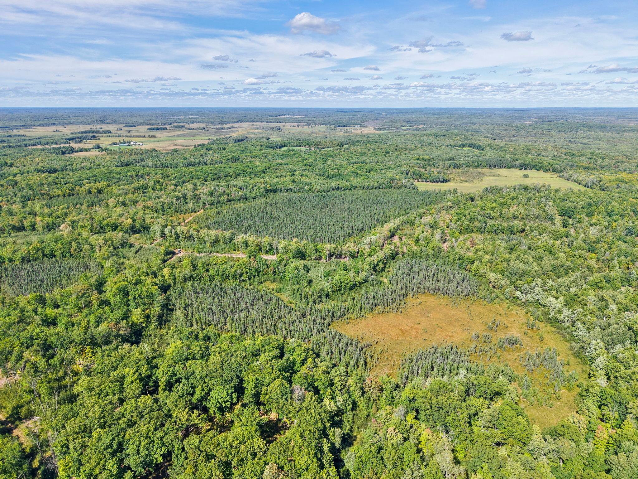 Xxx Fleming Logging Road Property Photo 61