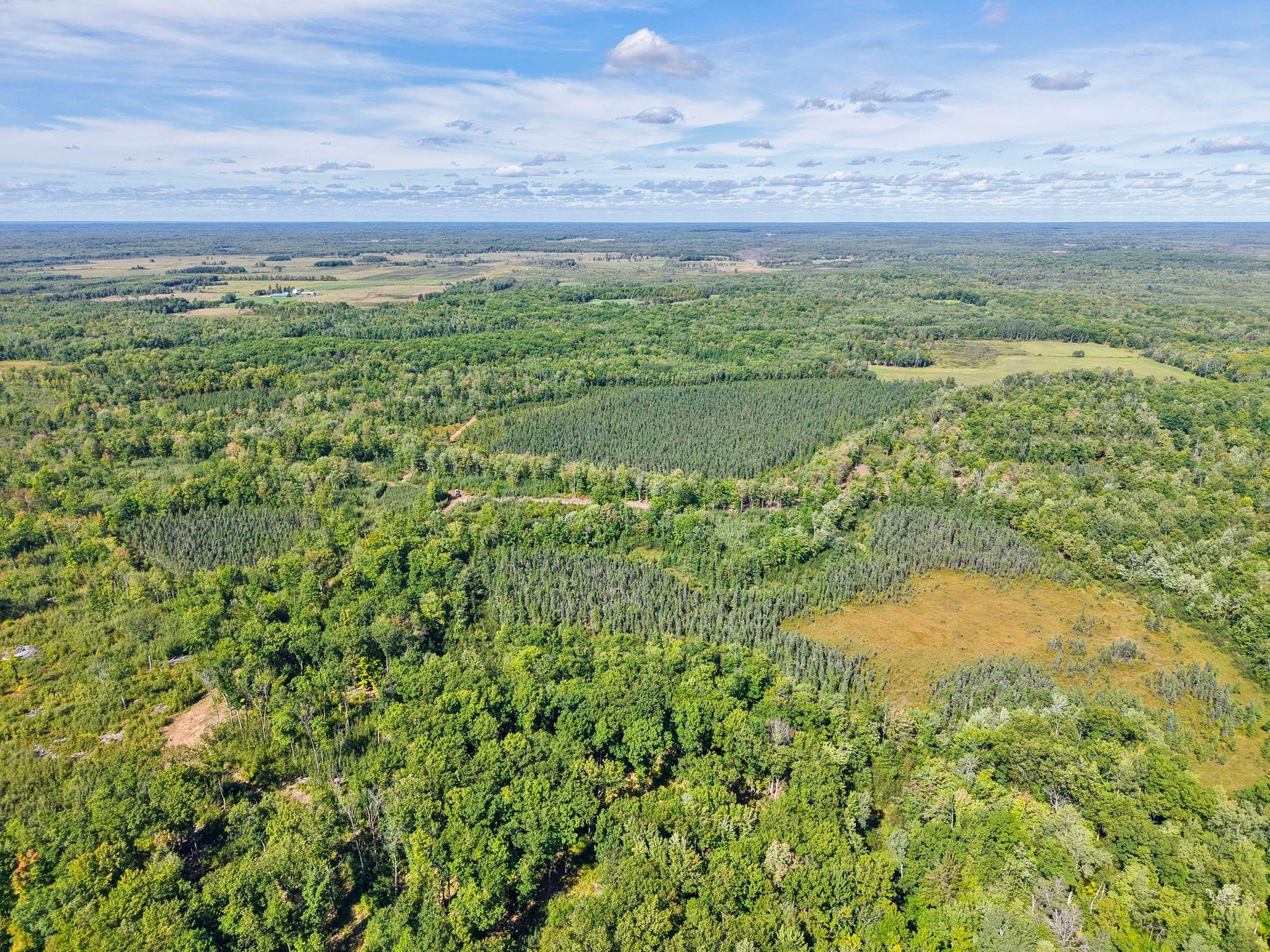 Xxx Fleming Logging Road Property Photo 62