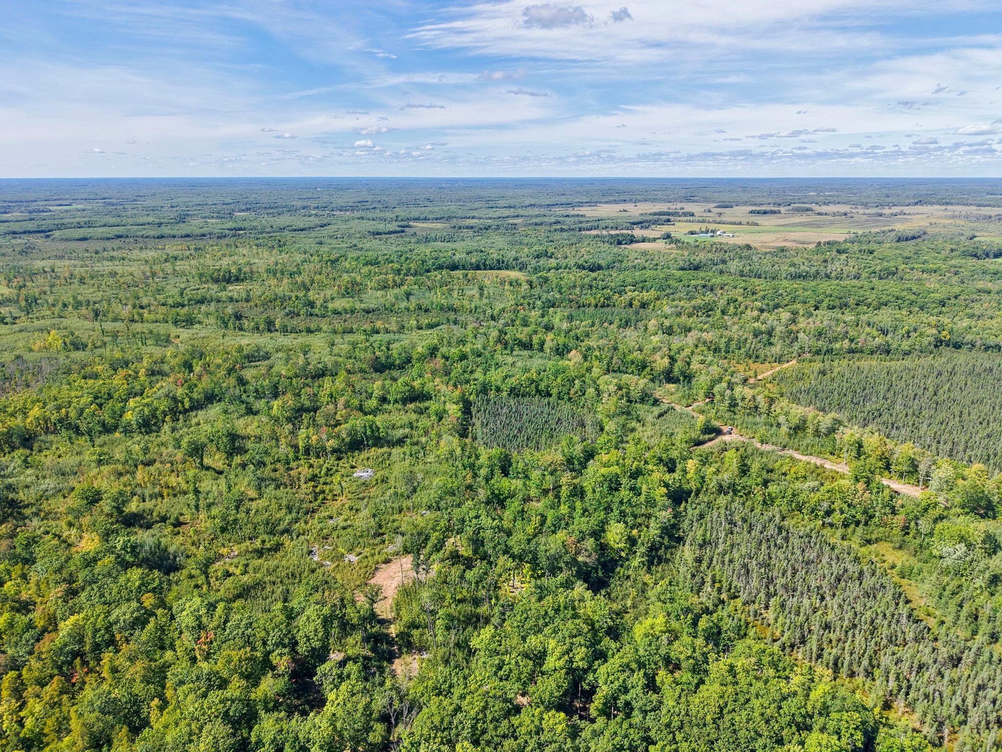 Xxx Fleming Logging Road Property Photo 63