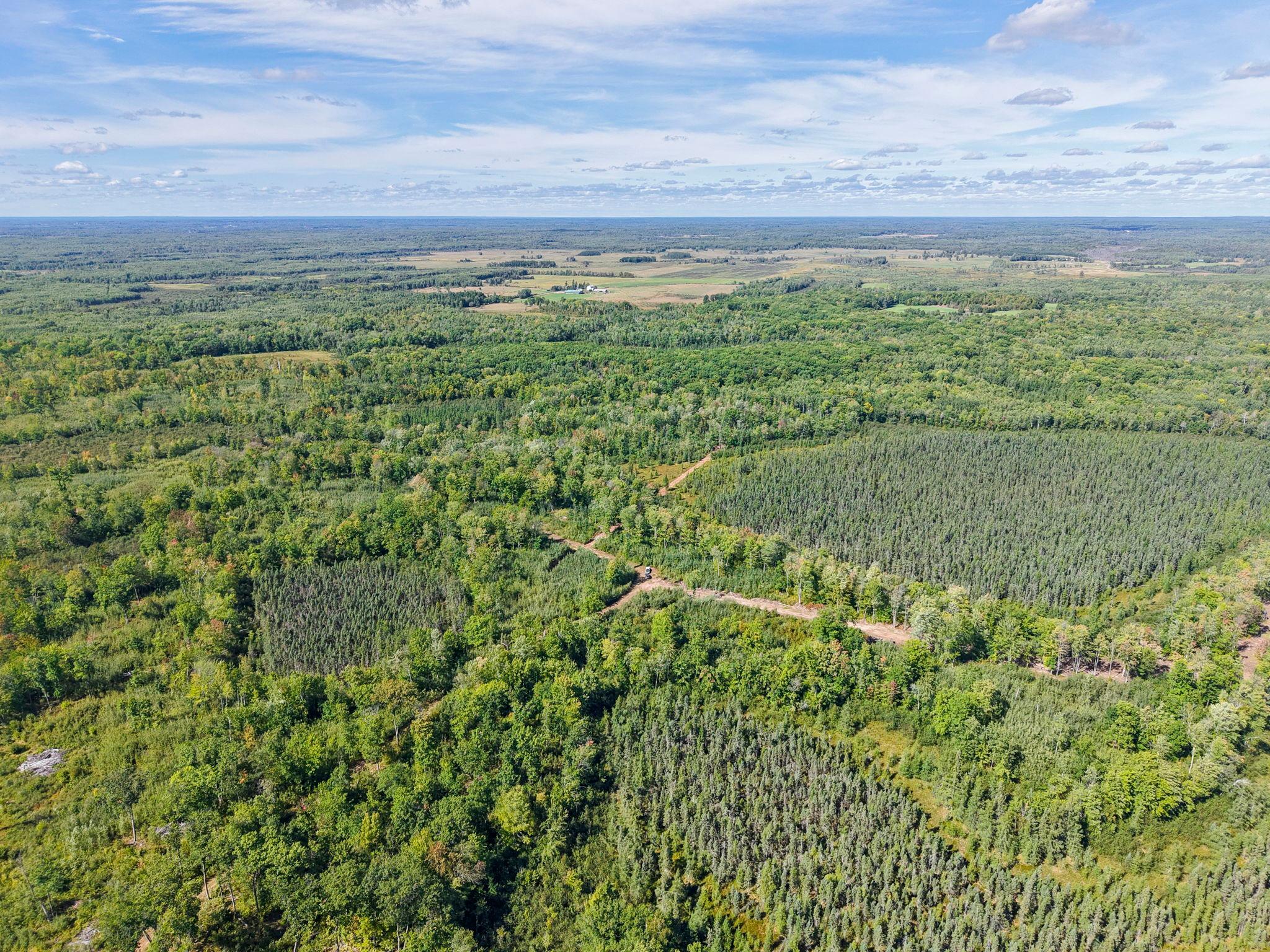 Xxx Fleming Logging Road Property Photo 64