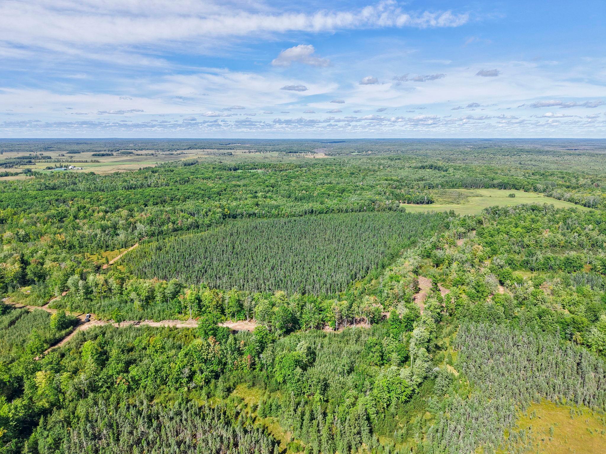 Xxx Fleming Logging Road Property Photo 65