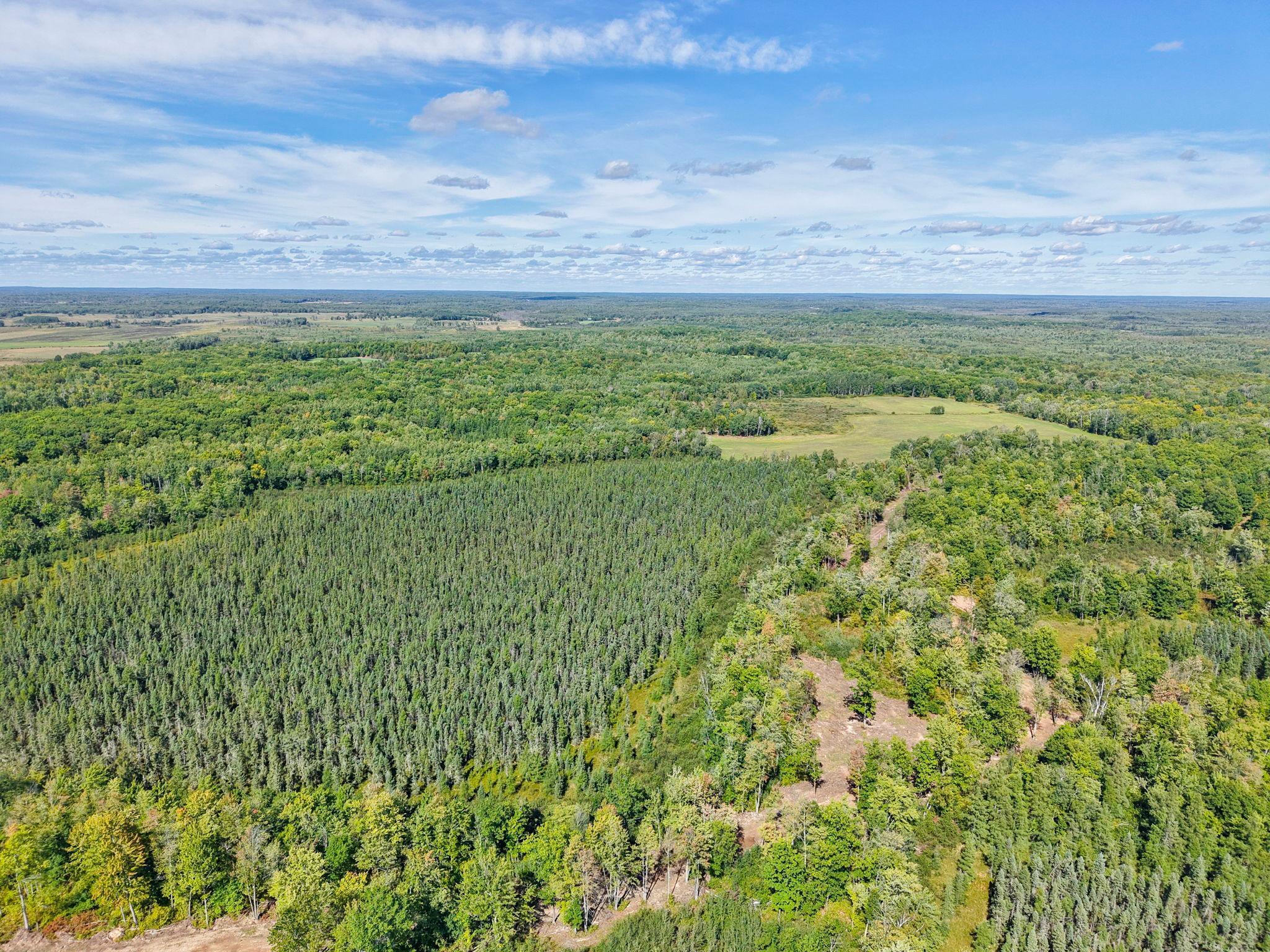 Xxx Fleming Logging Road Property Photo 66