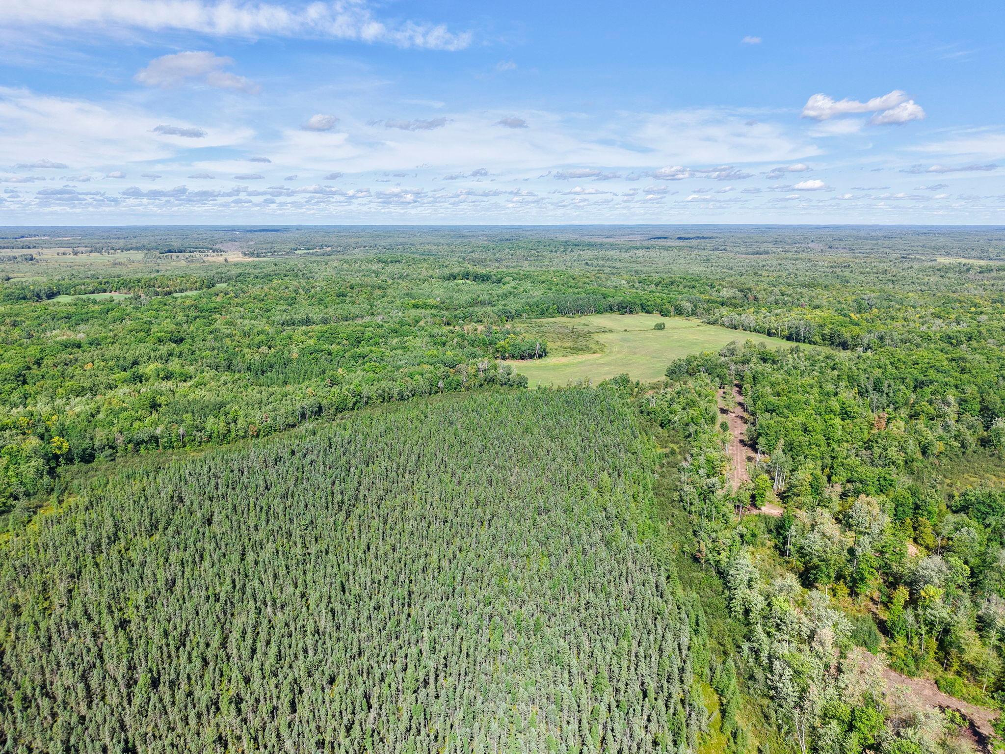 Xxx Fleming Logging Road Property Photo 67
