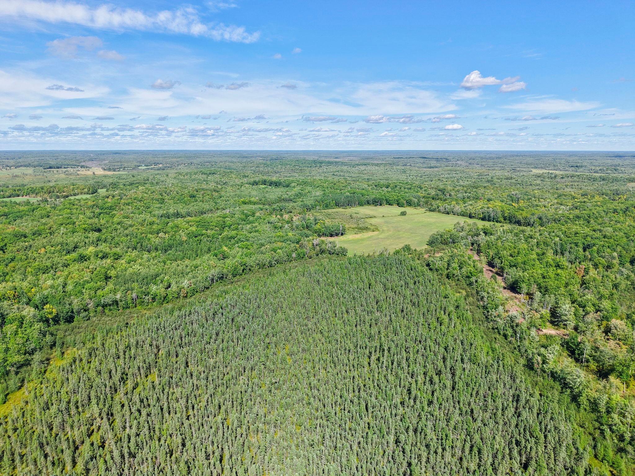 Xxx Fleming Logging Road Property Photo 68