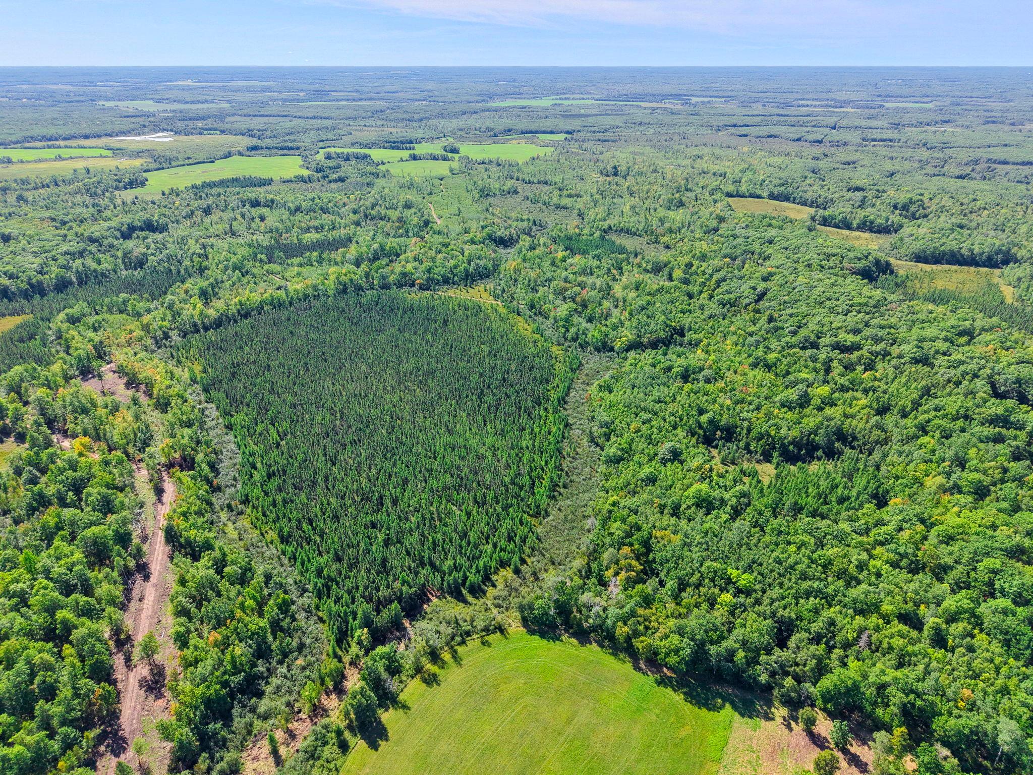 Xxx Fleming Logging Road Property Photo 69
