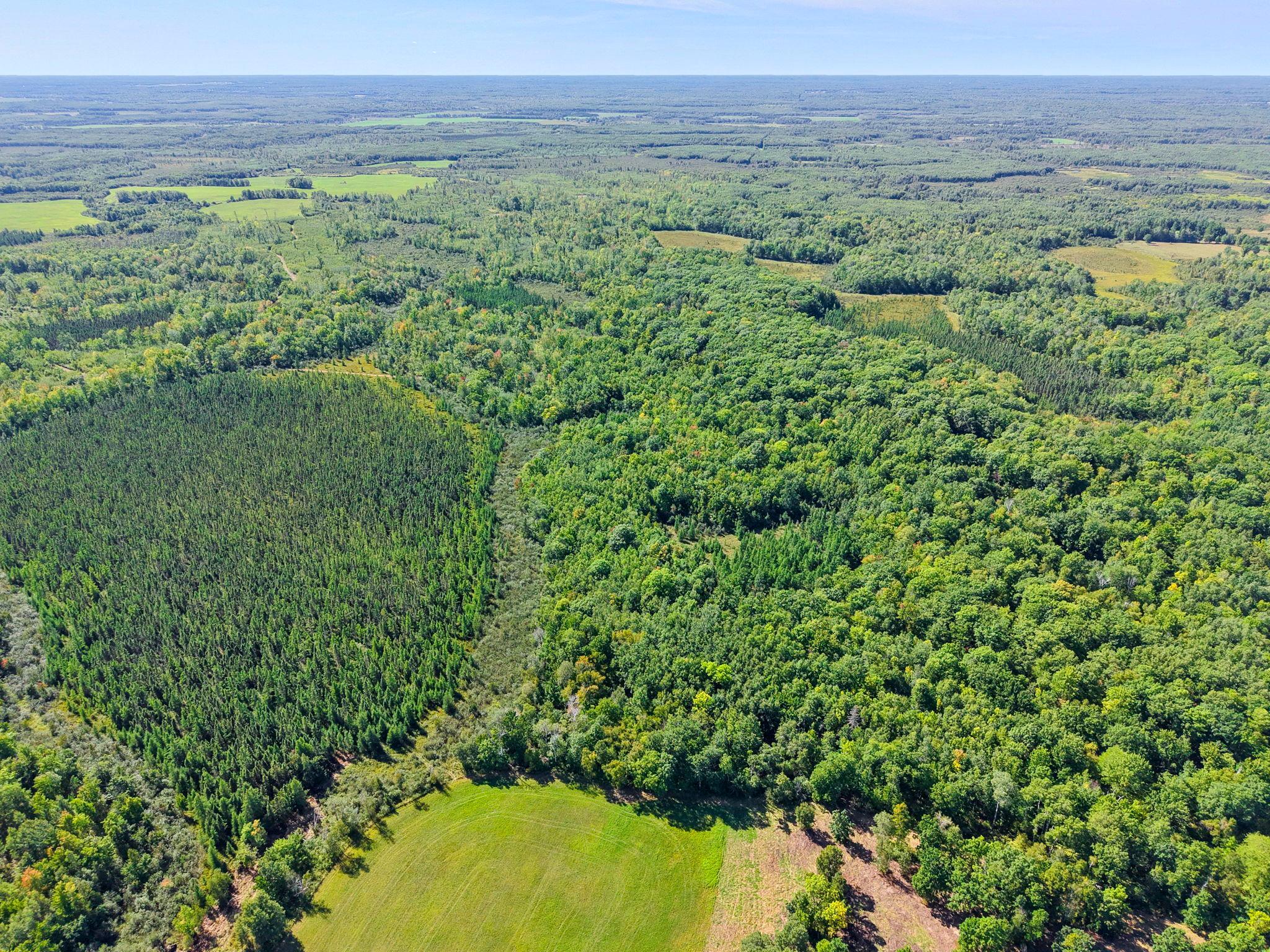 Xxx Fleming Logging Road Property Photo 70