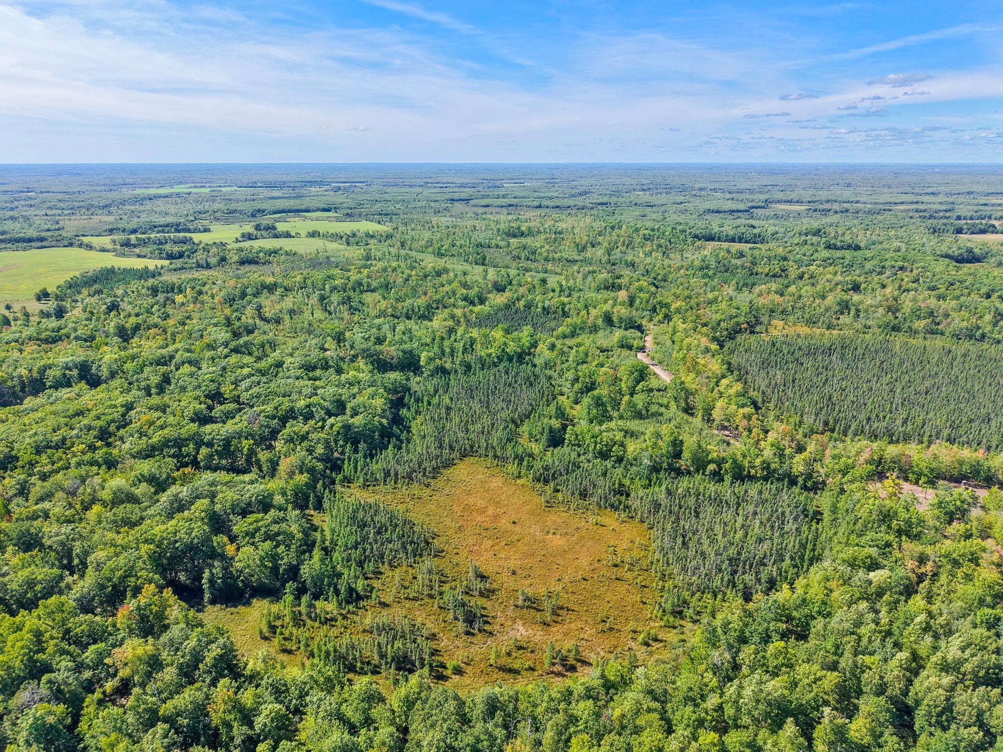Xxx Fleming Logging Road Property Photo 75