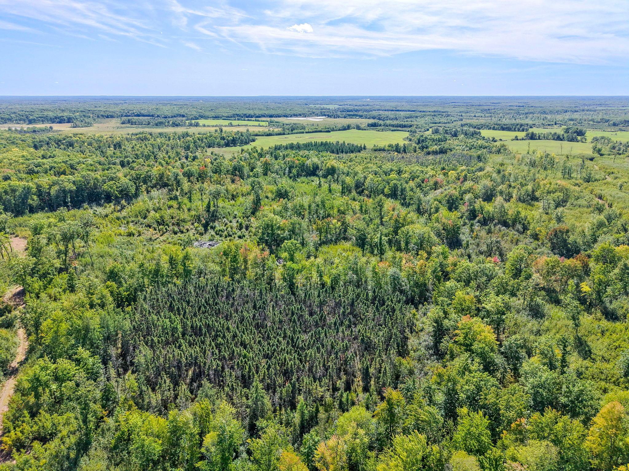 Xxx Fleming Logging Road Property Photo 85