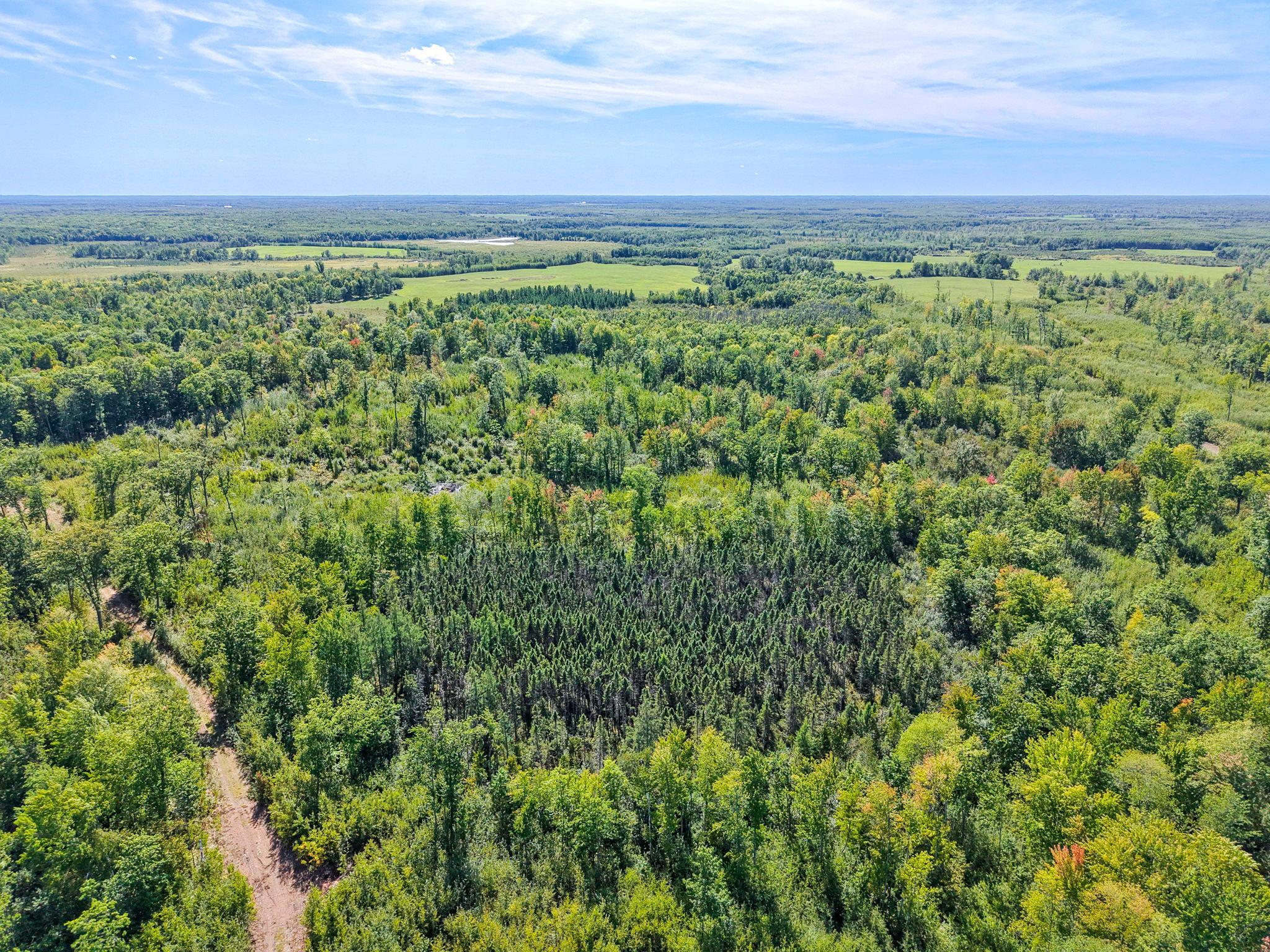 Xxx Fleming Logging Road Property Photo 86