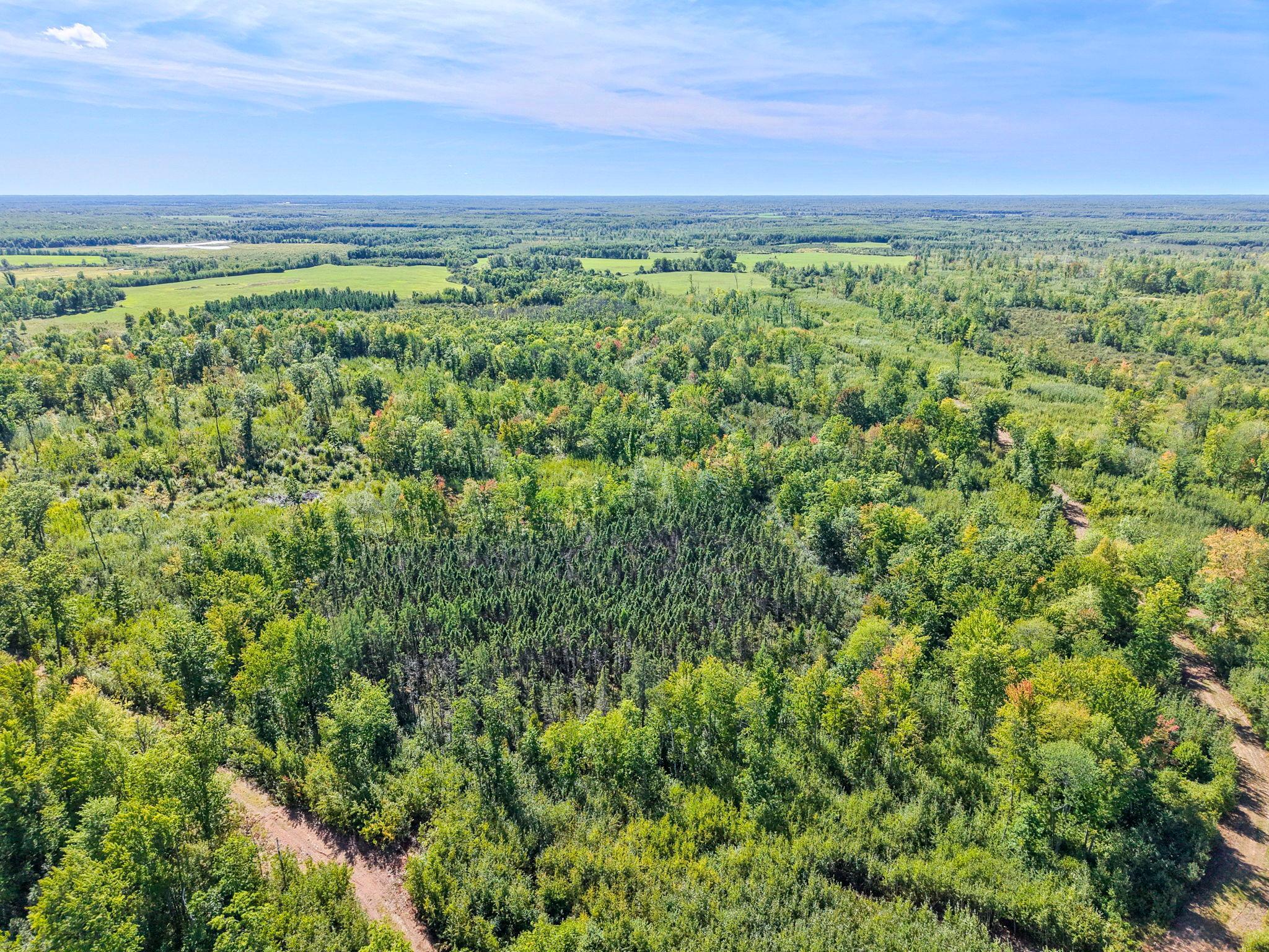 Xxx Fleming Logging Road Property Photo 87